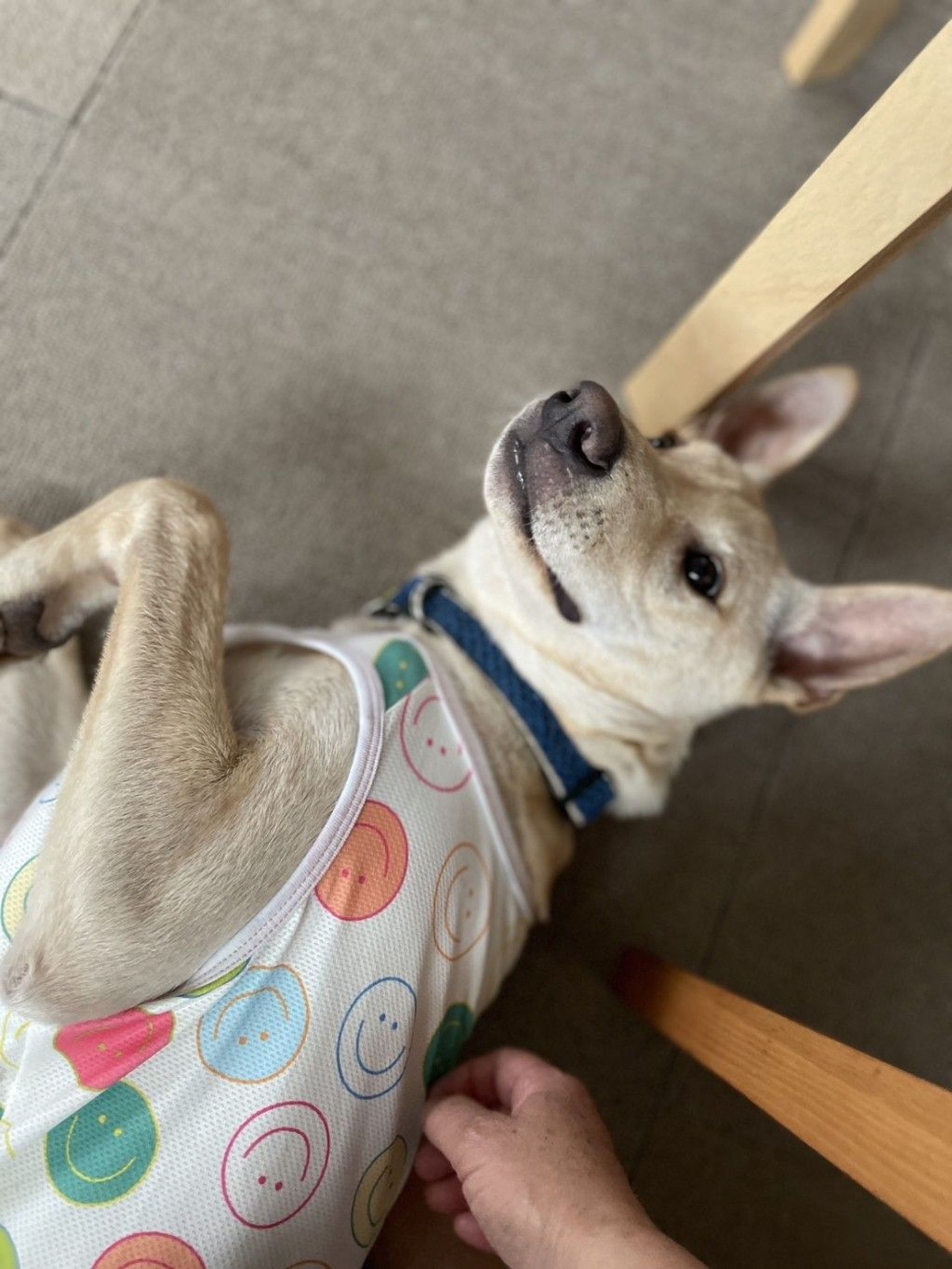 thumbnail-3