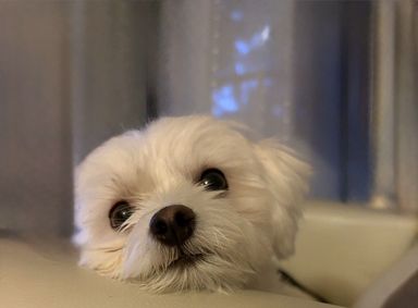 ゆうき