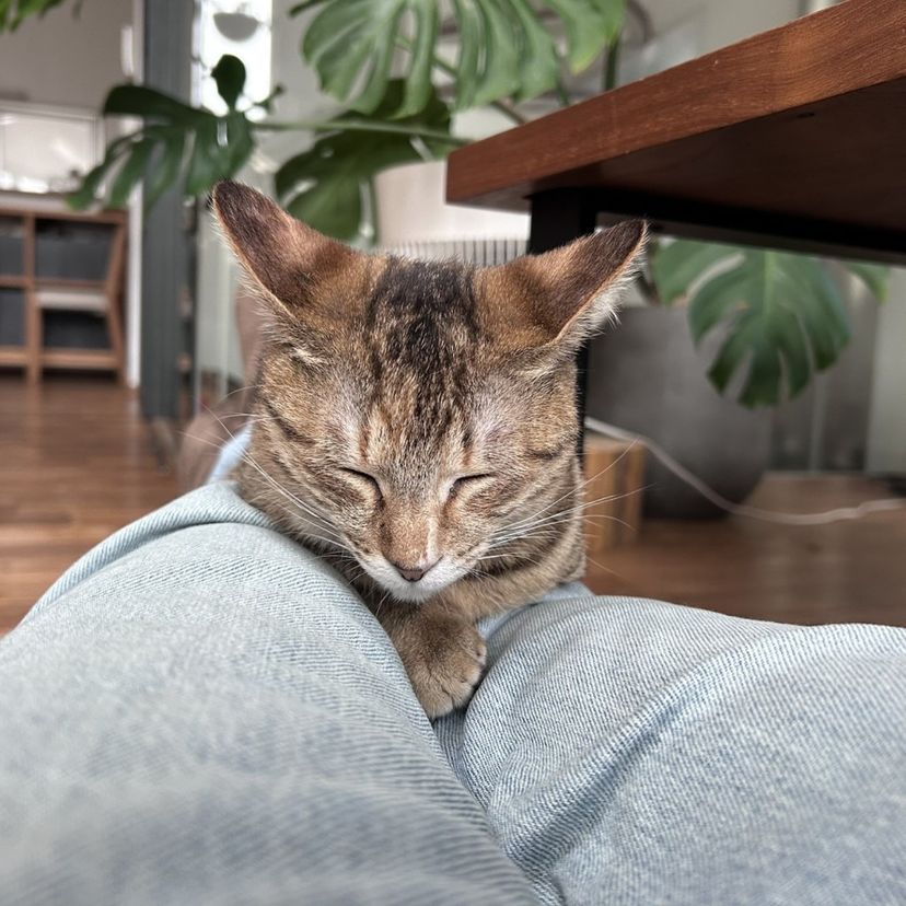 image-6