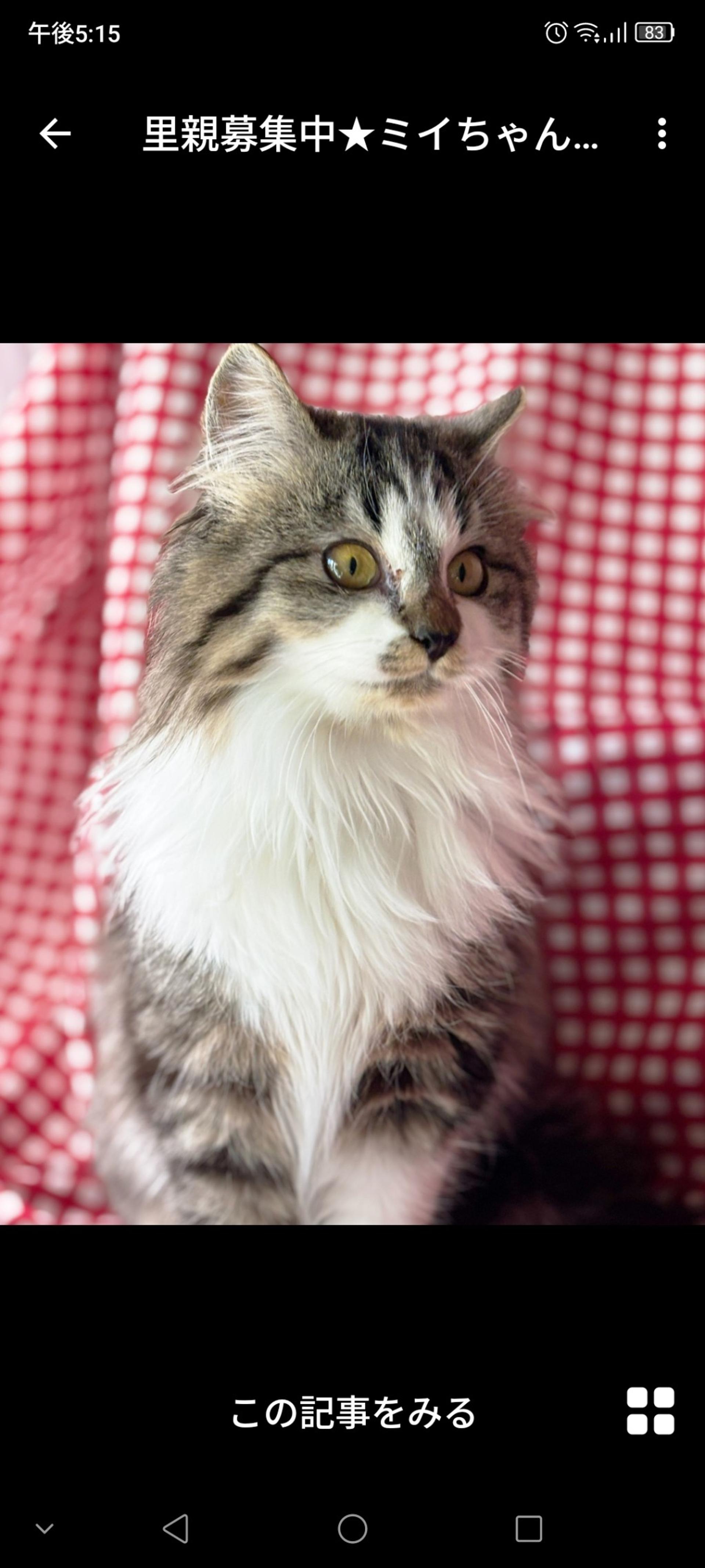 pet-image-3