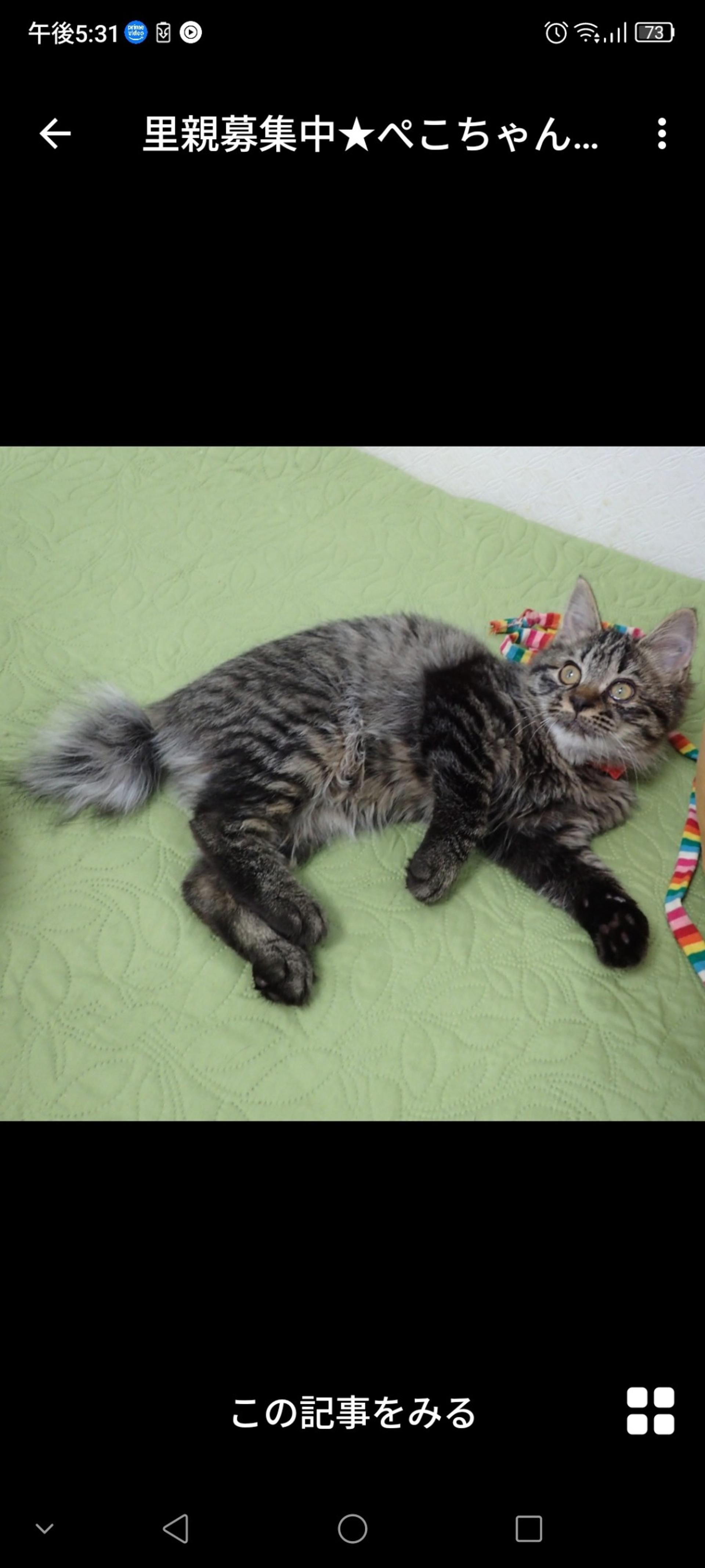 pet-image-3