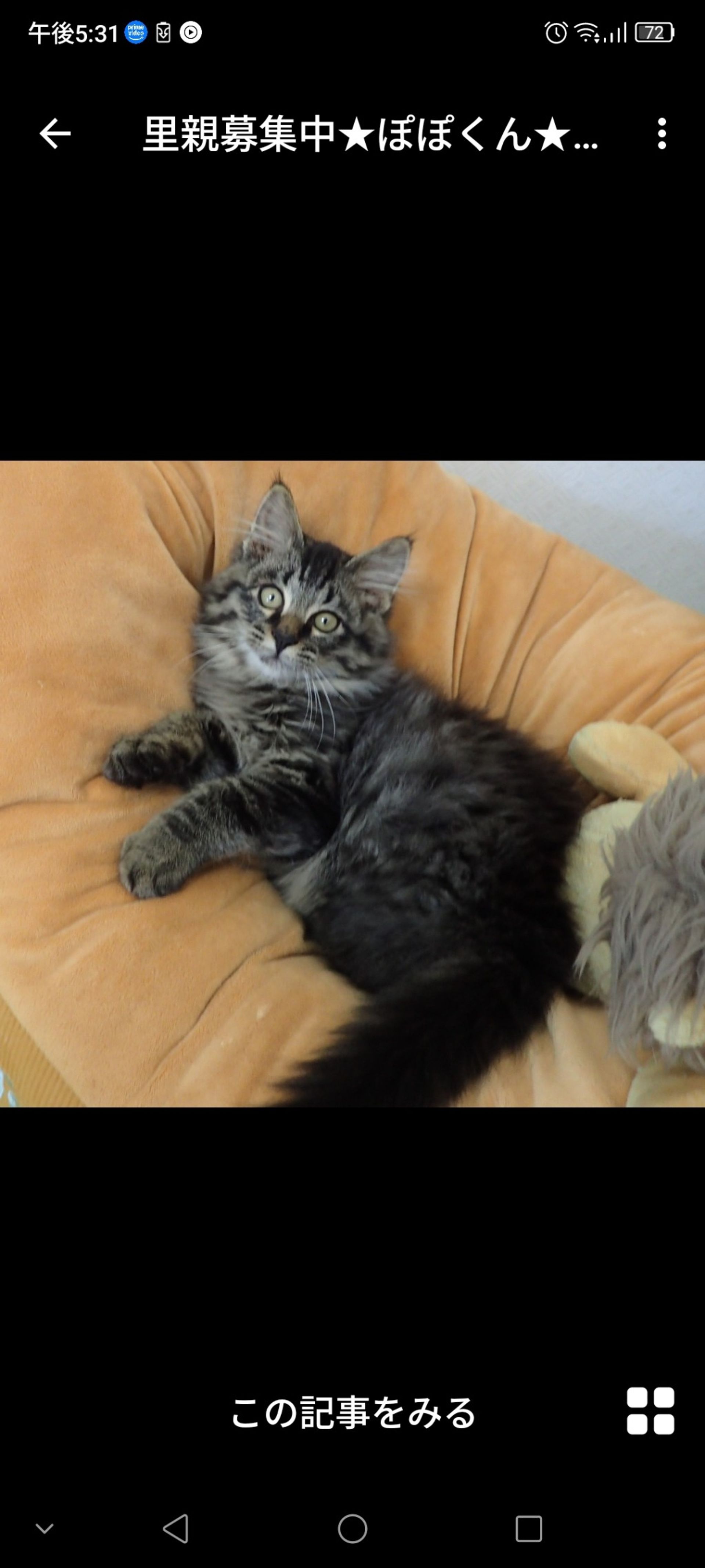 thumbnail-2