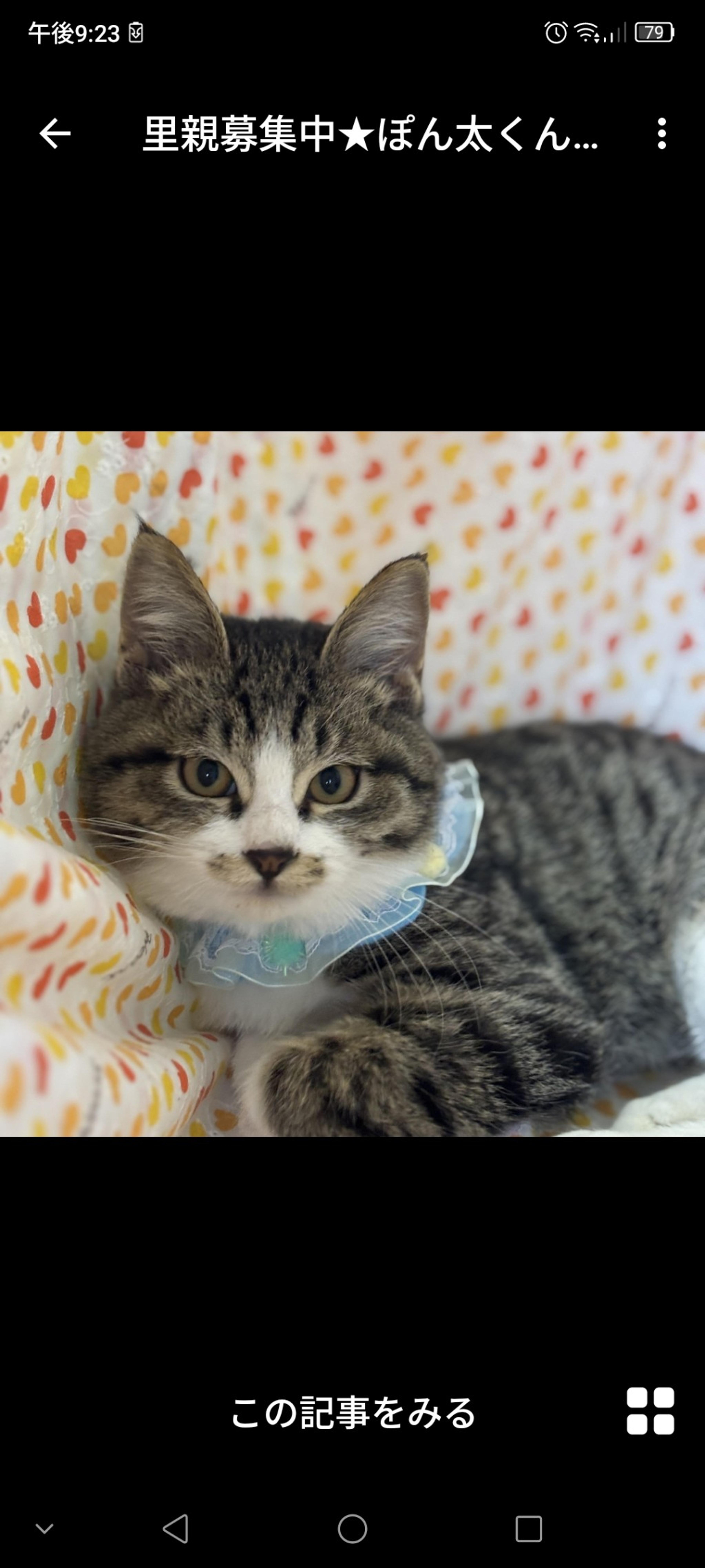 pet-image-2