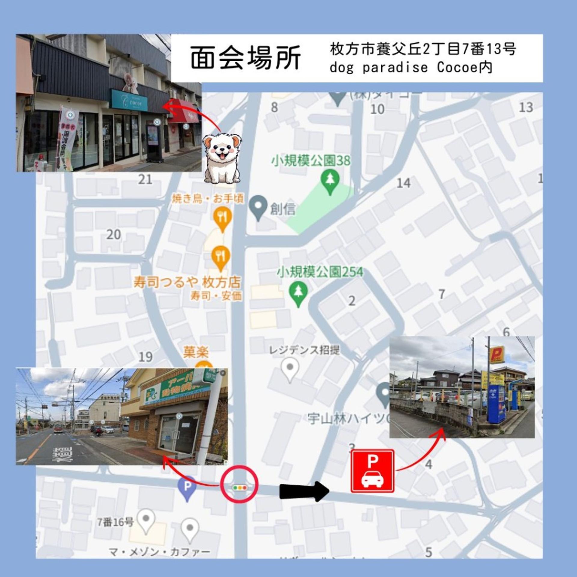 pet-image-2
