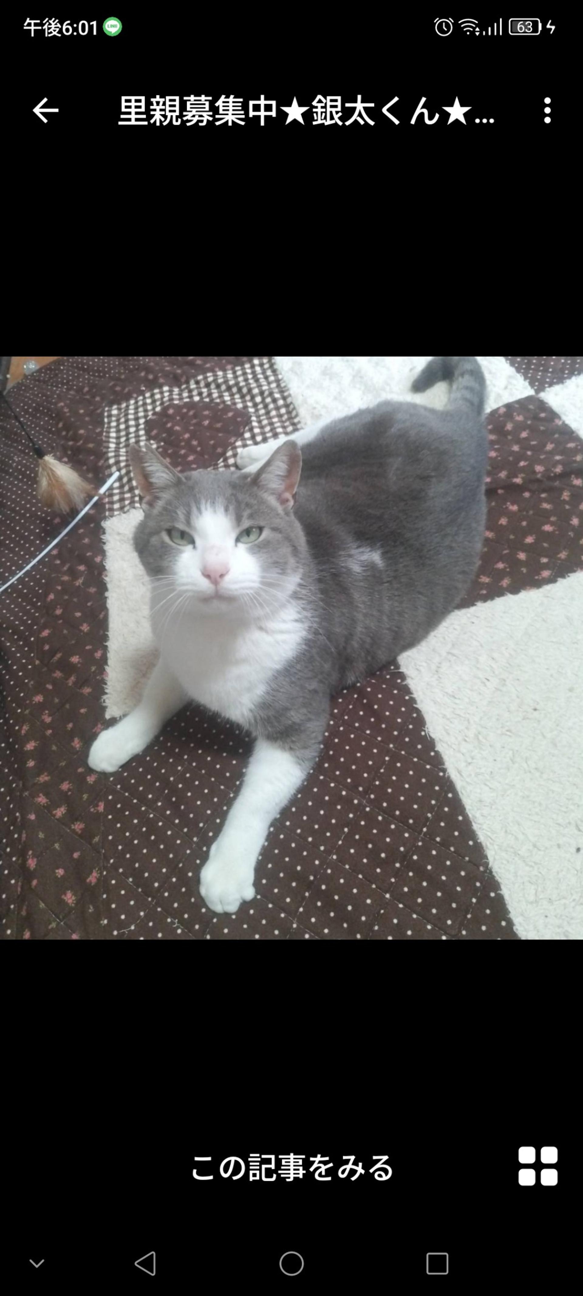 pet-image-3