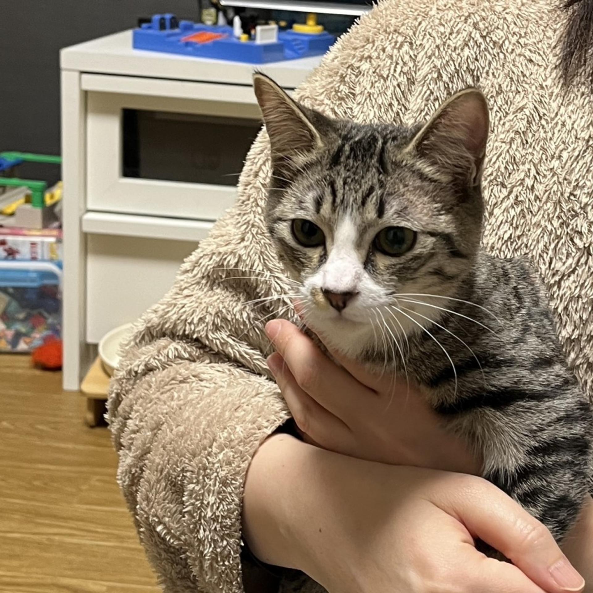 pet-image-2