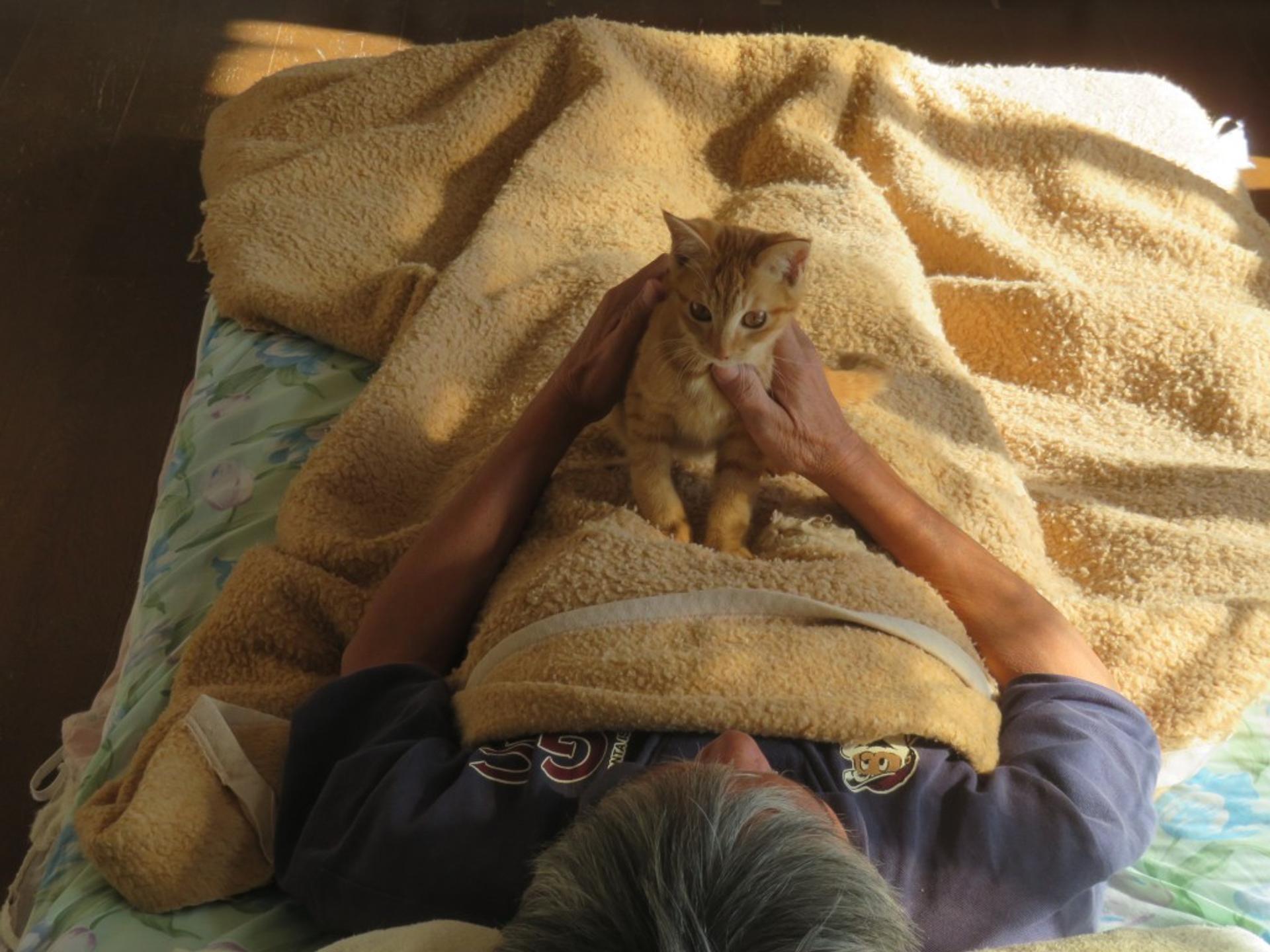 pet-image-4