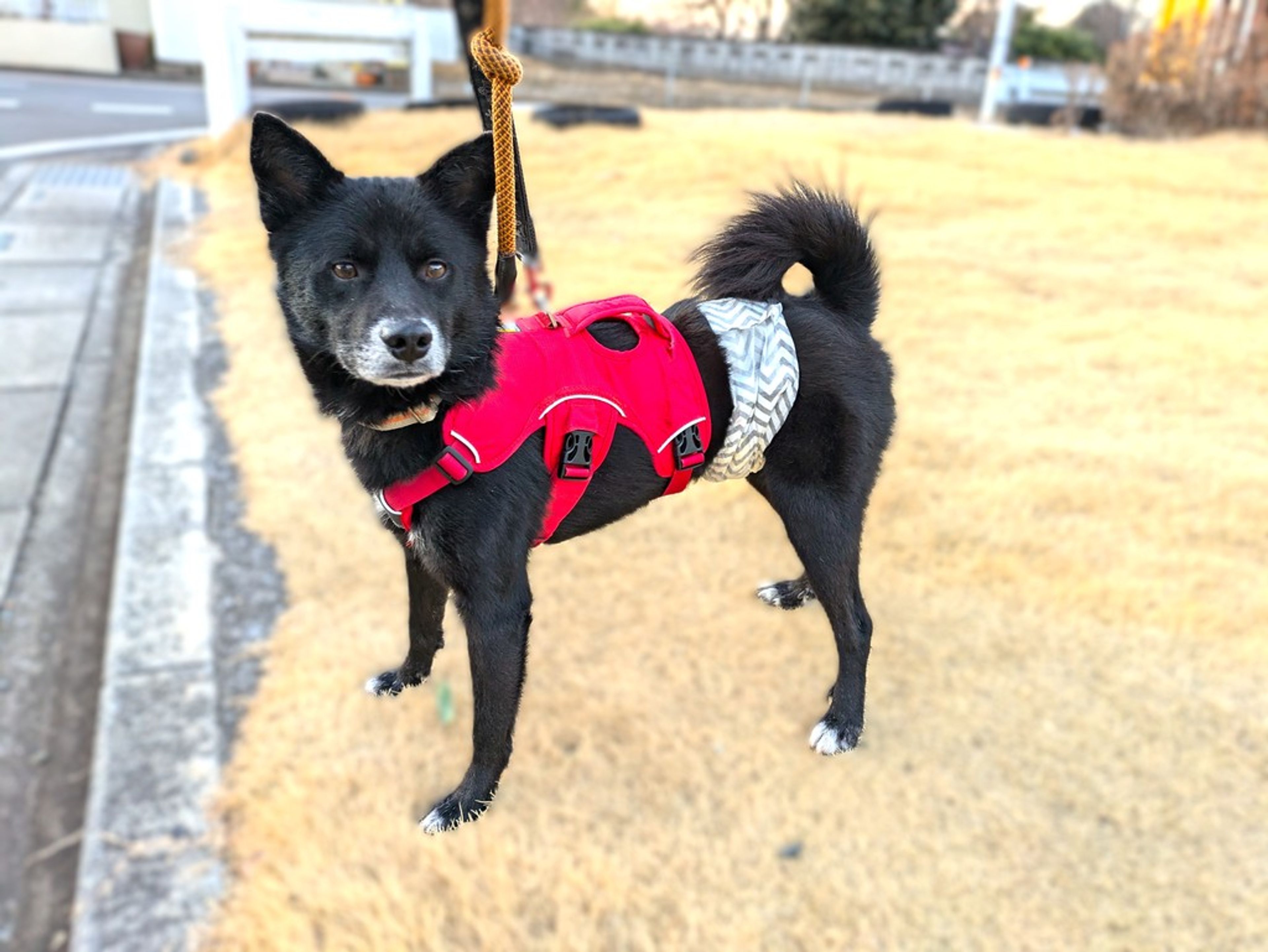 image-7