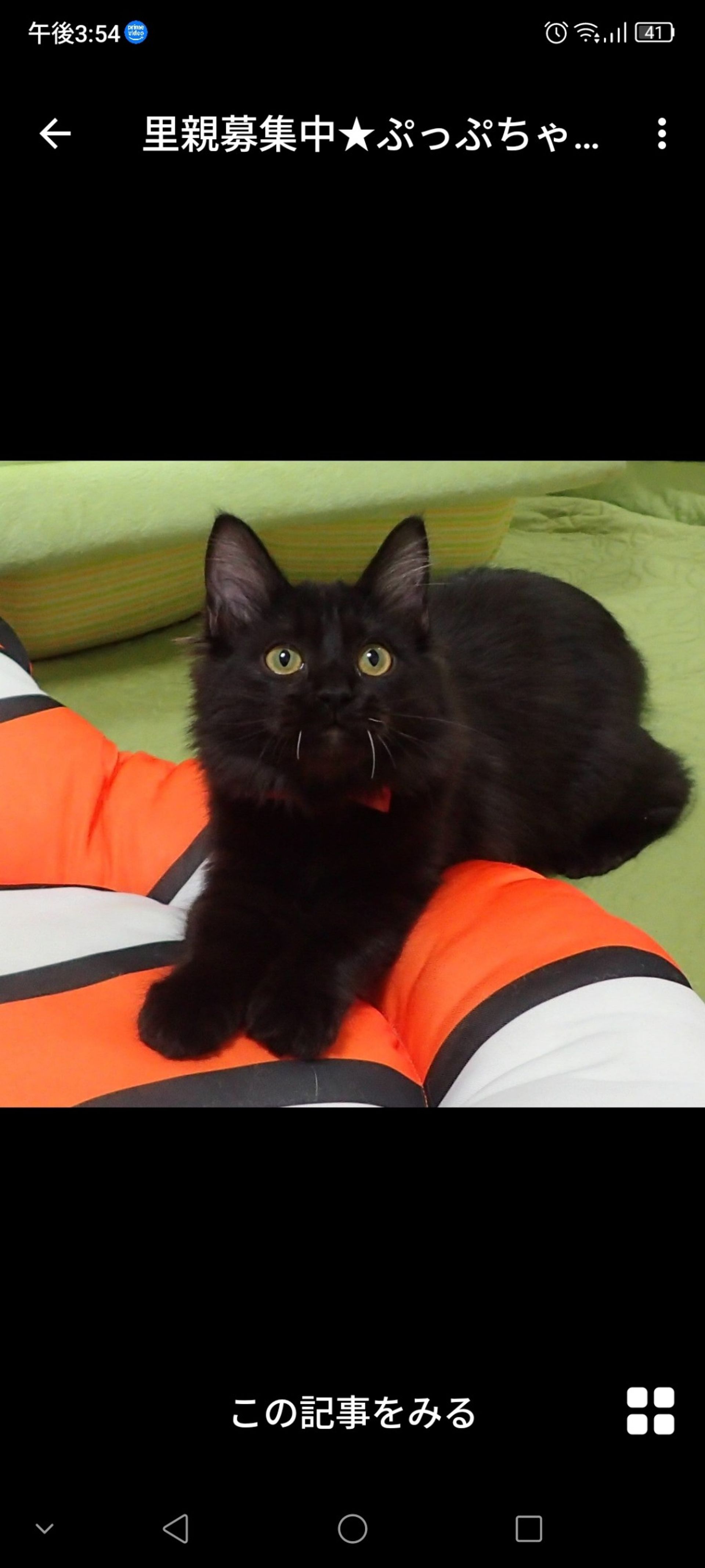 thumbnail-2
