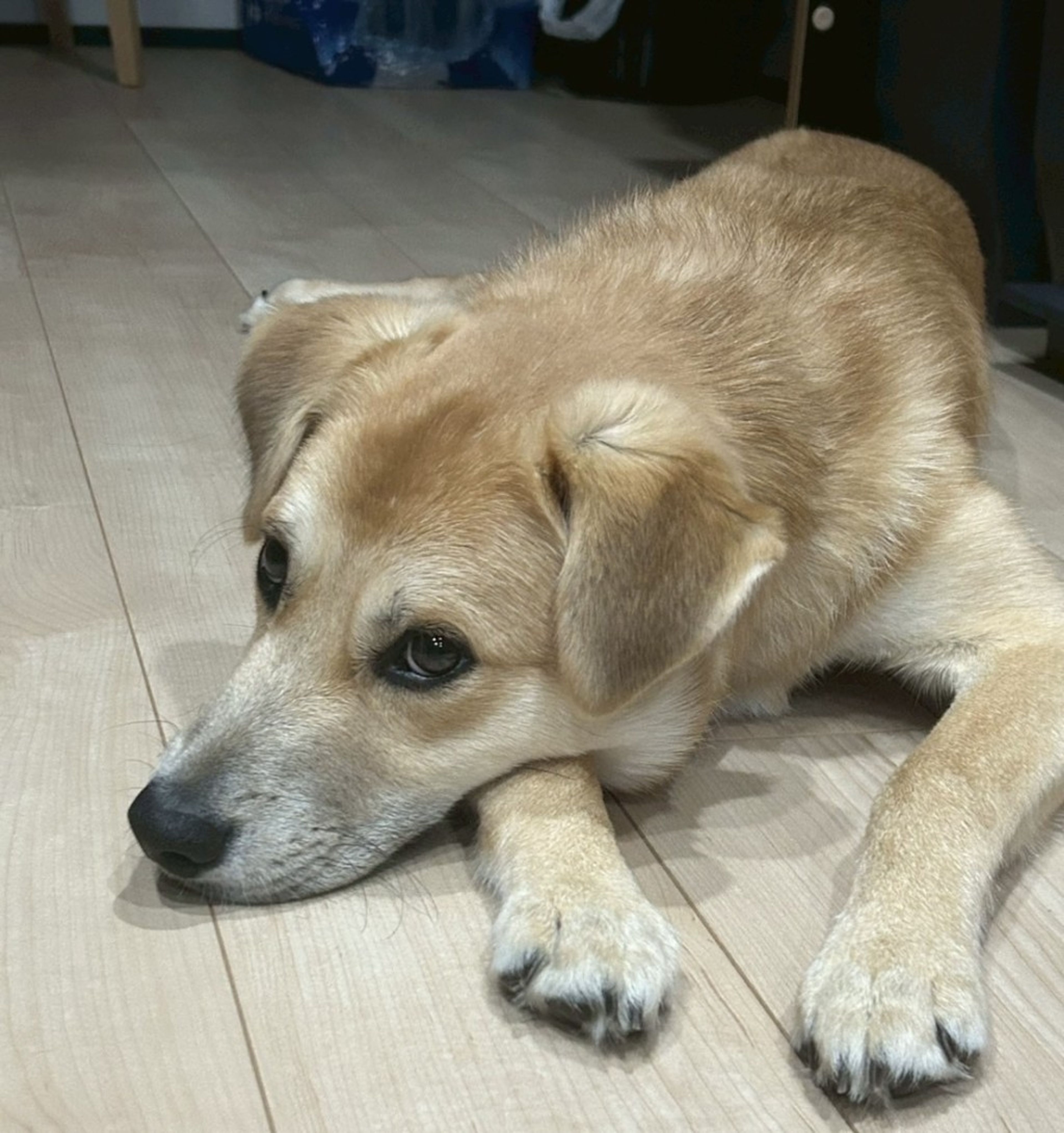 image-5