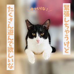 thumb-5