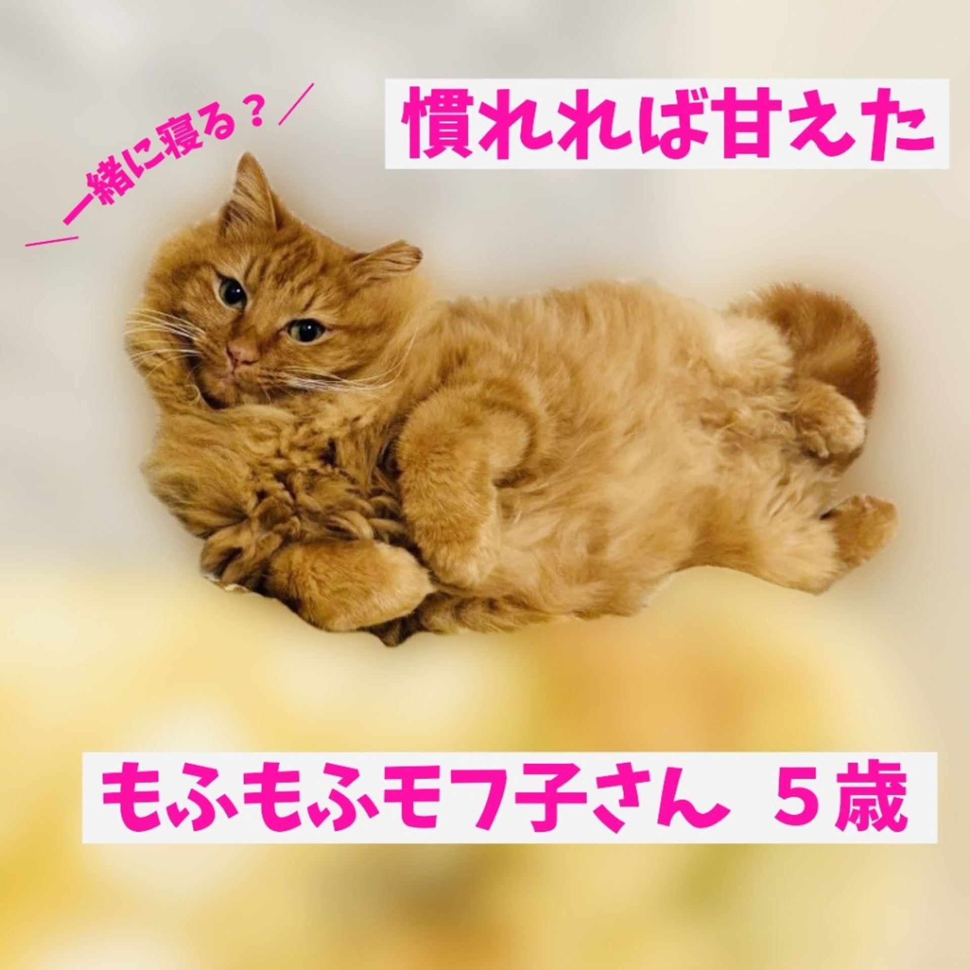 thumbnail-5