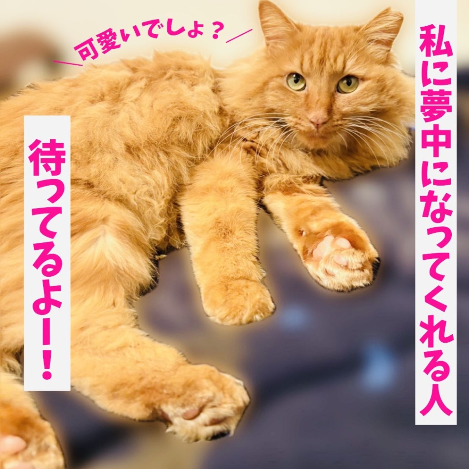 thumbnail-6