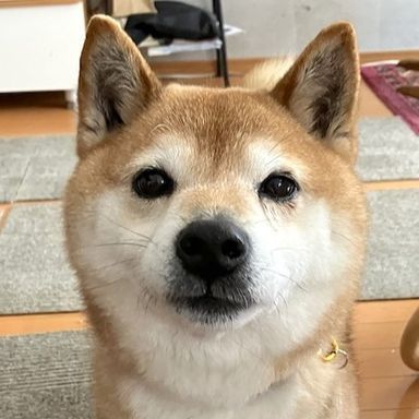 たろうの写真