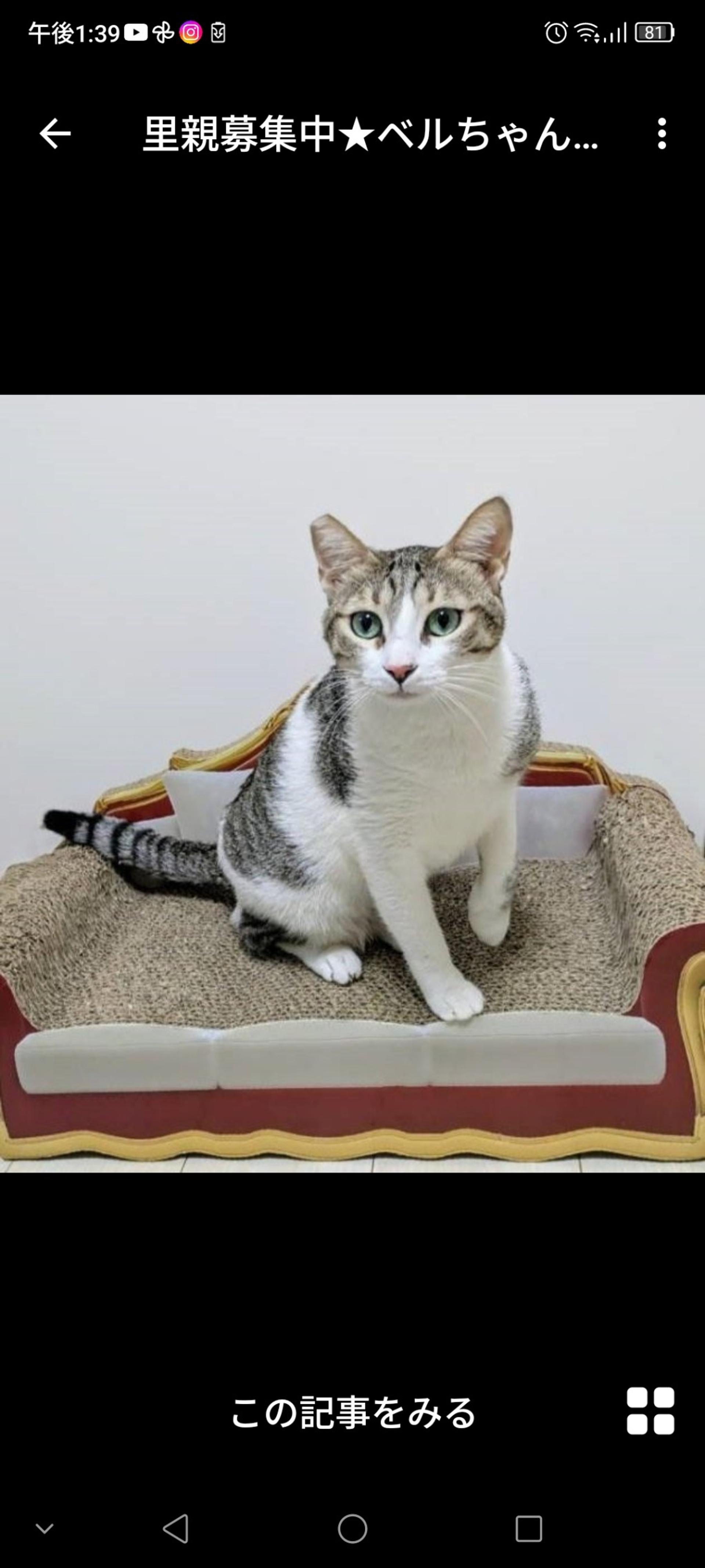 pet-image-2