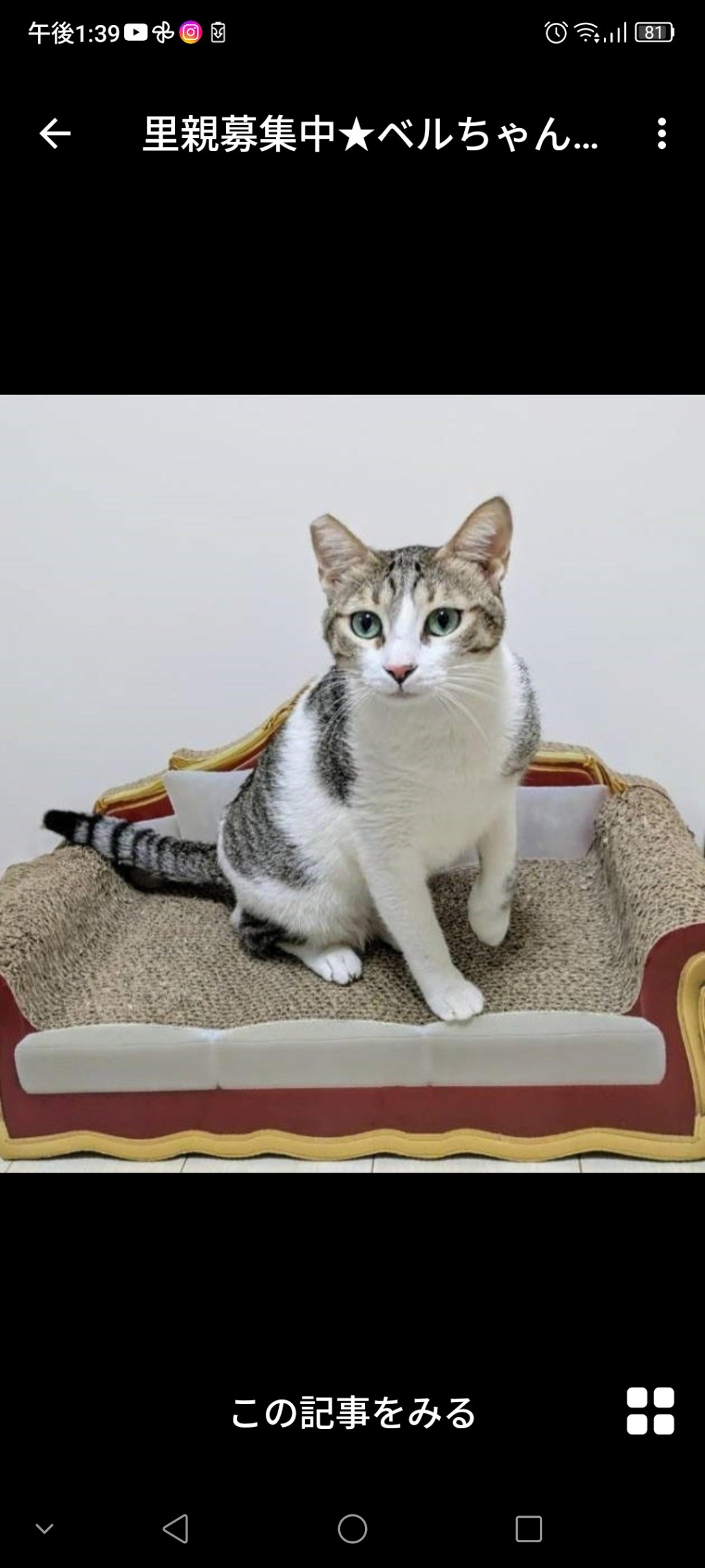 pet-image-2