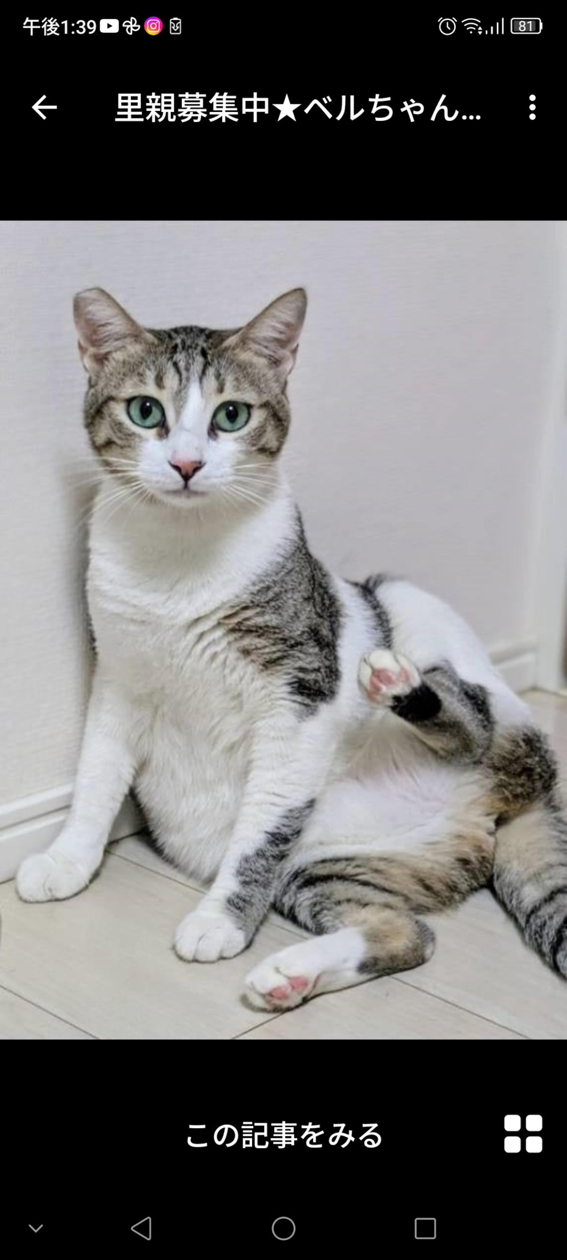 pet-image-3