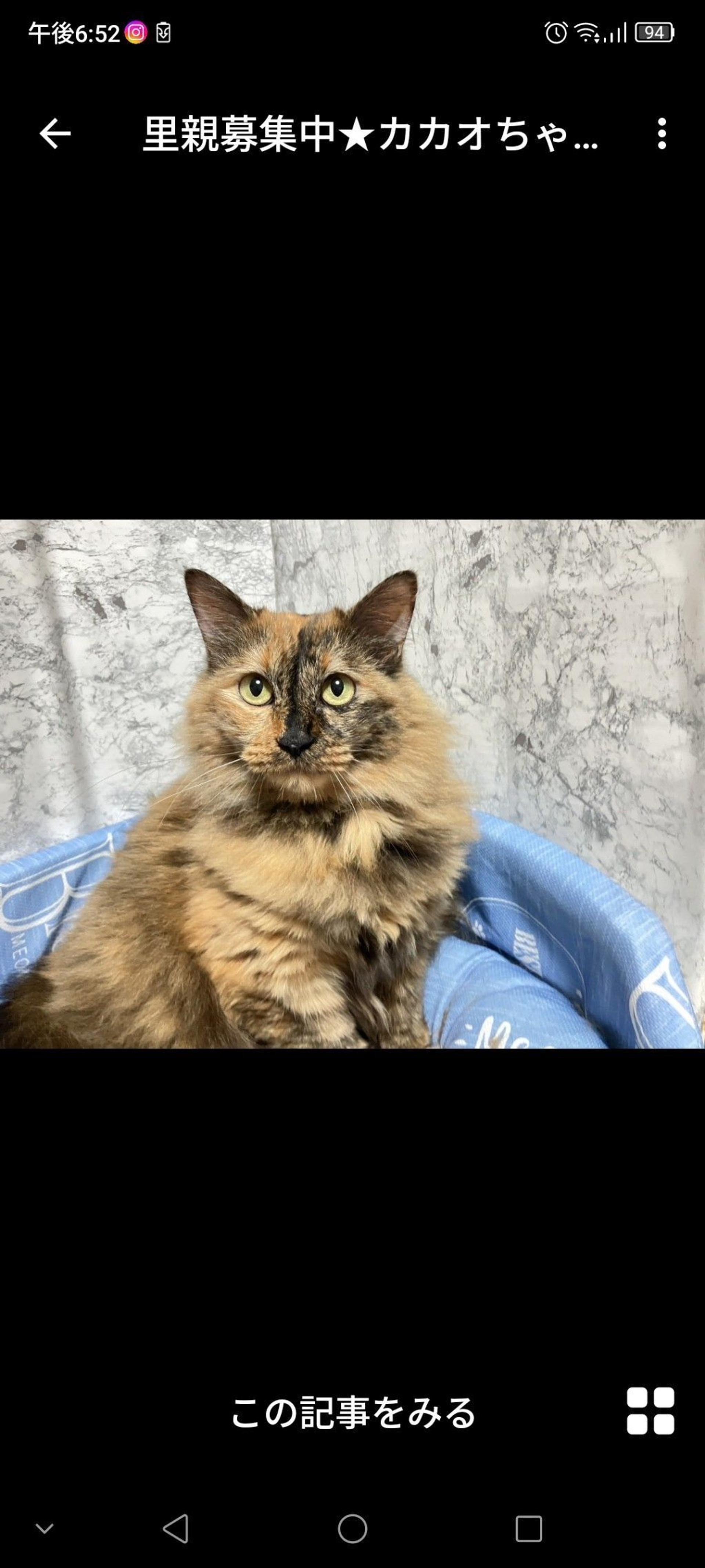pet-image-3