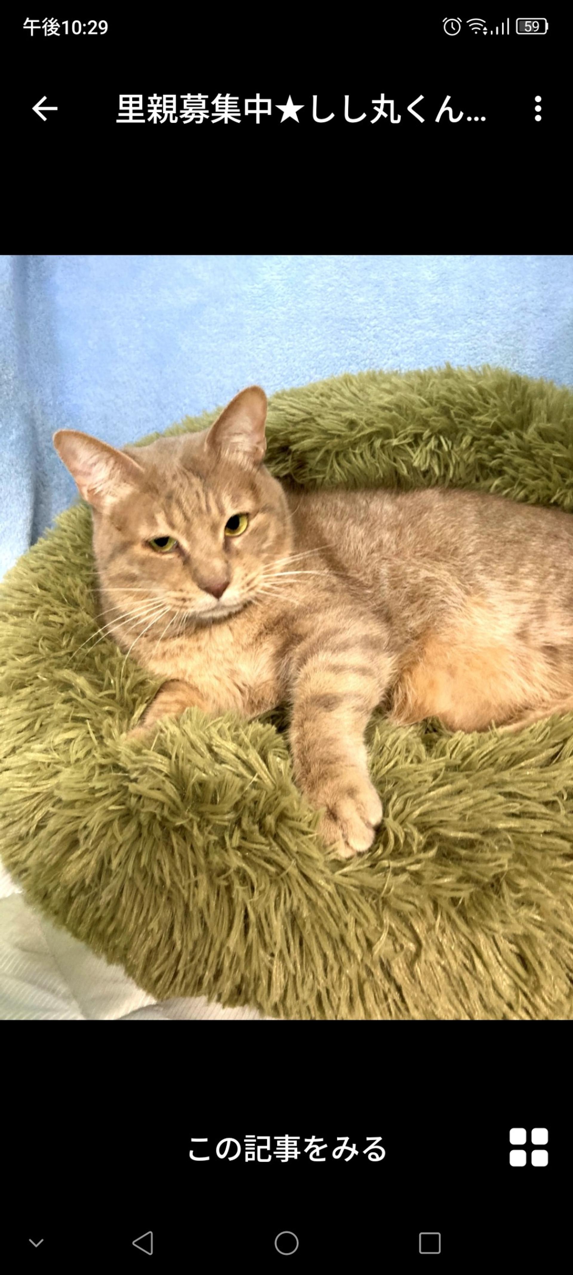 pet-image-2