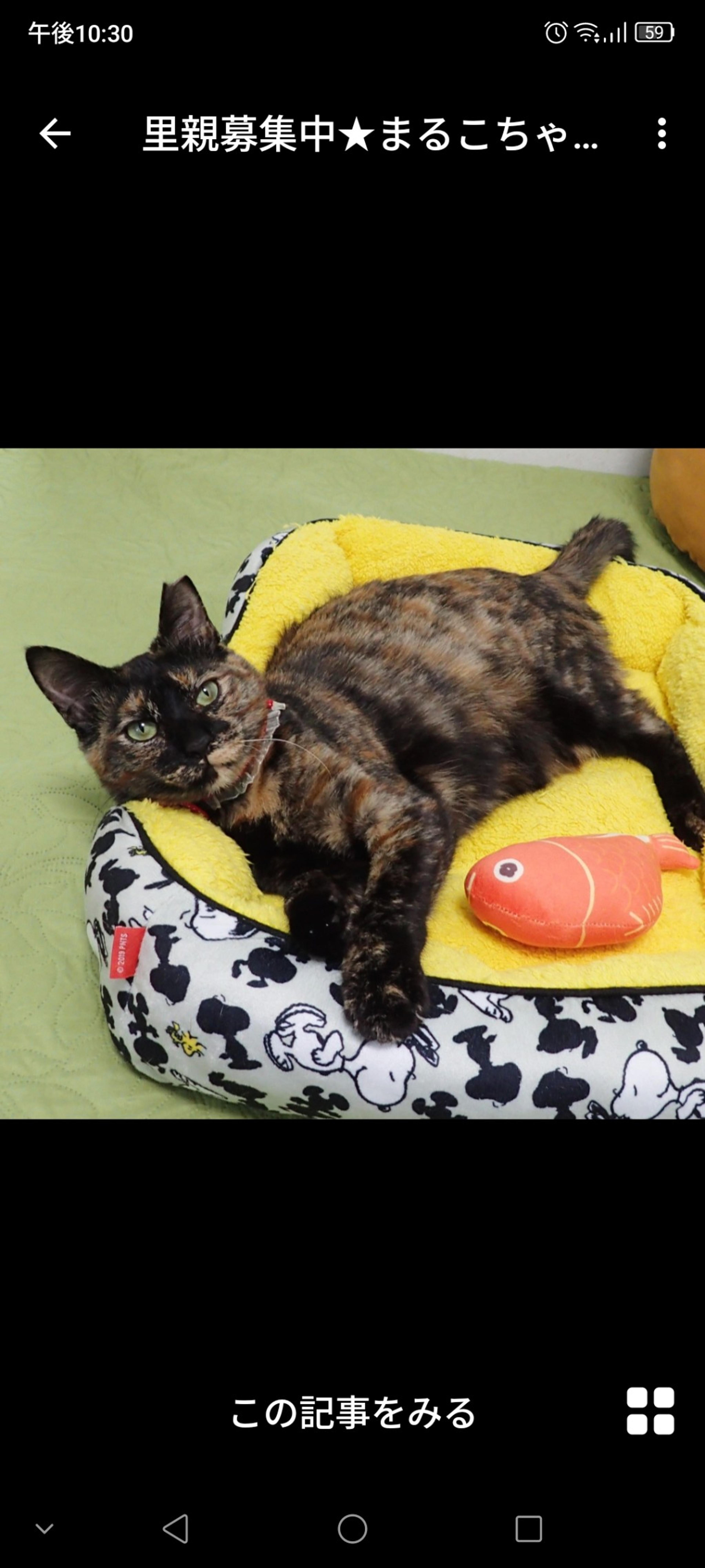 pet-image-2