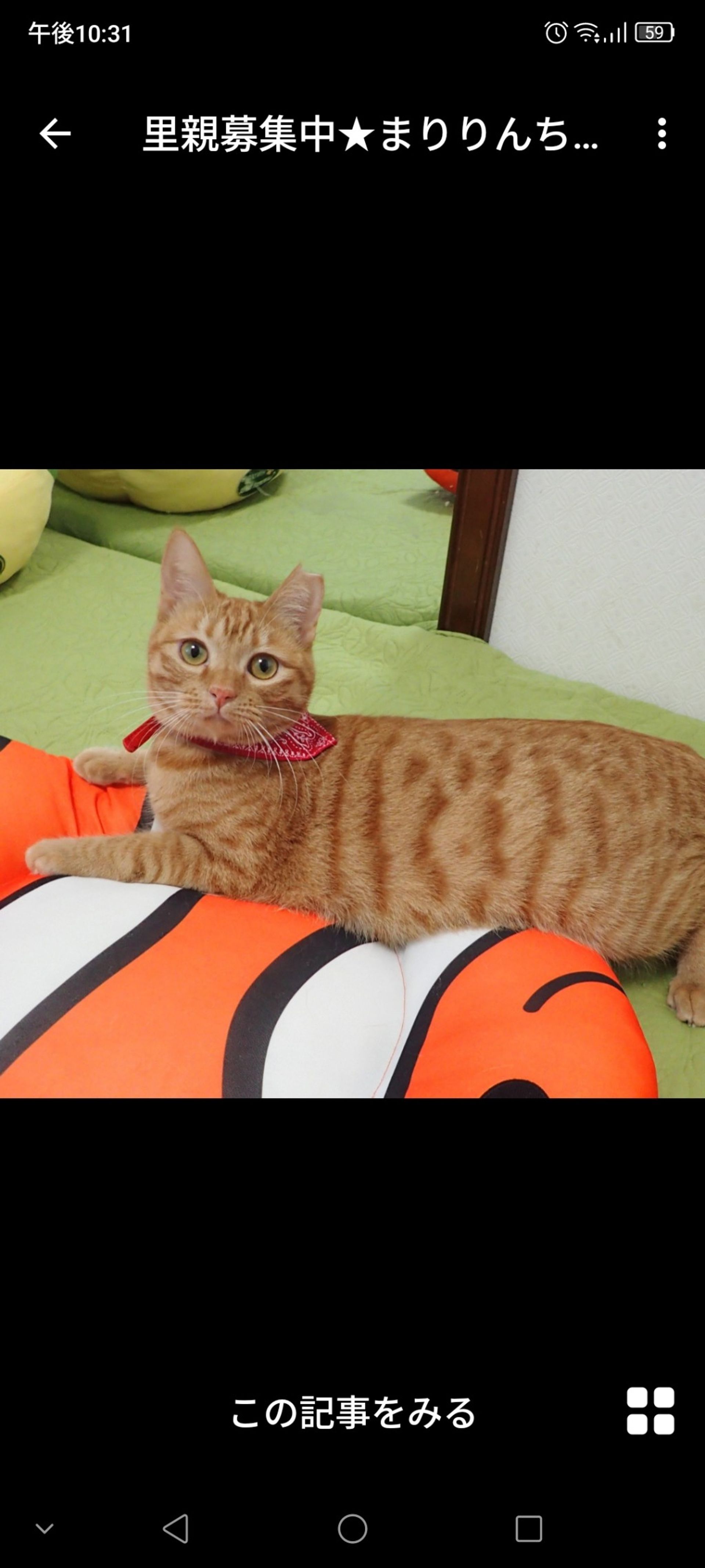 thumbnail-3