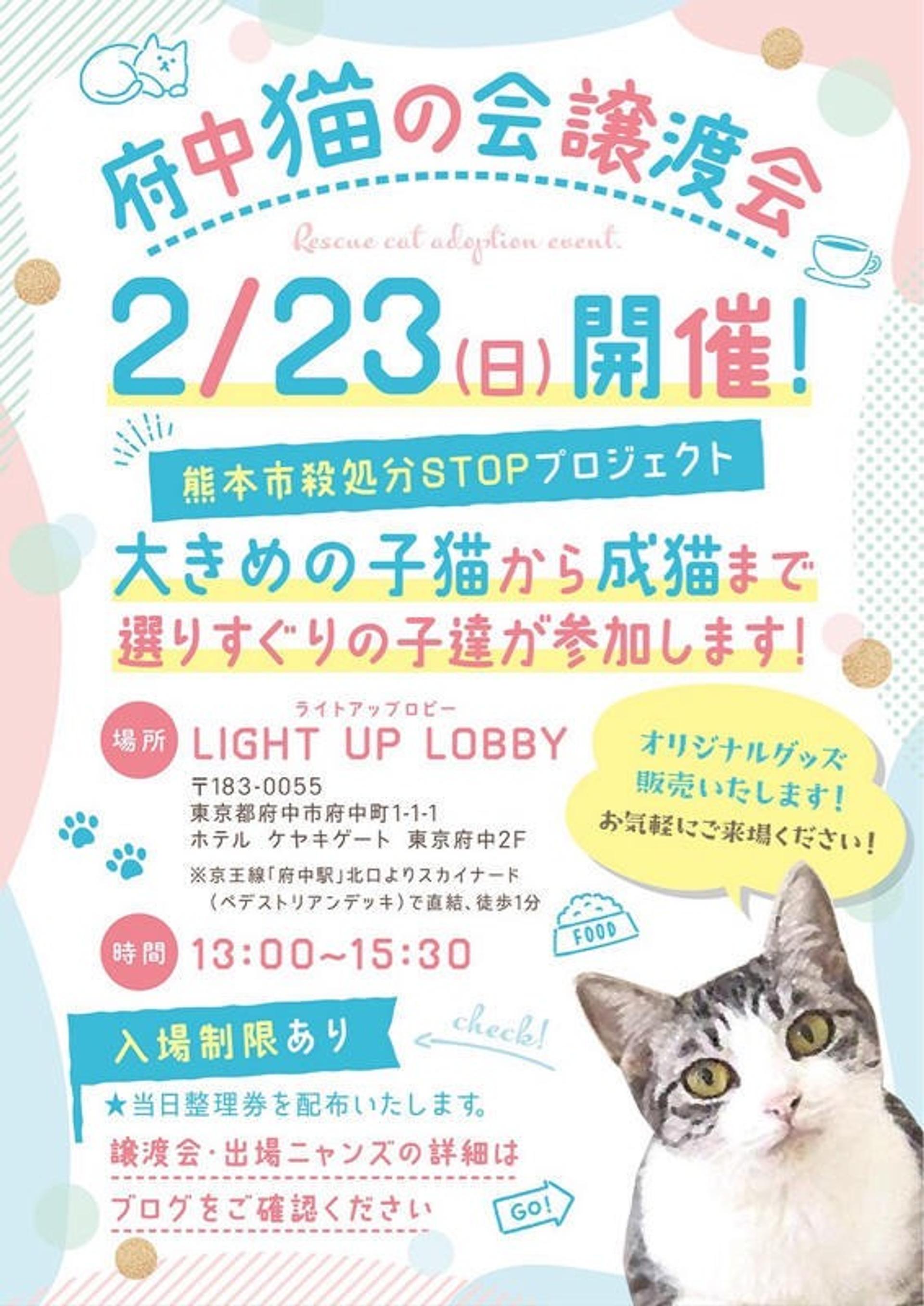 pet-image-4