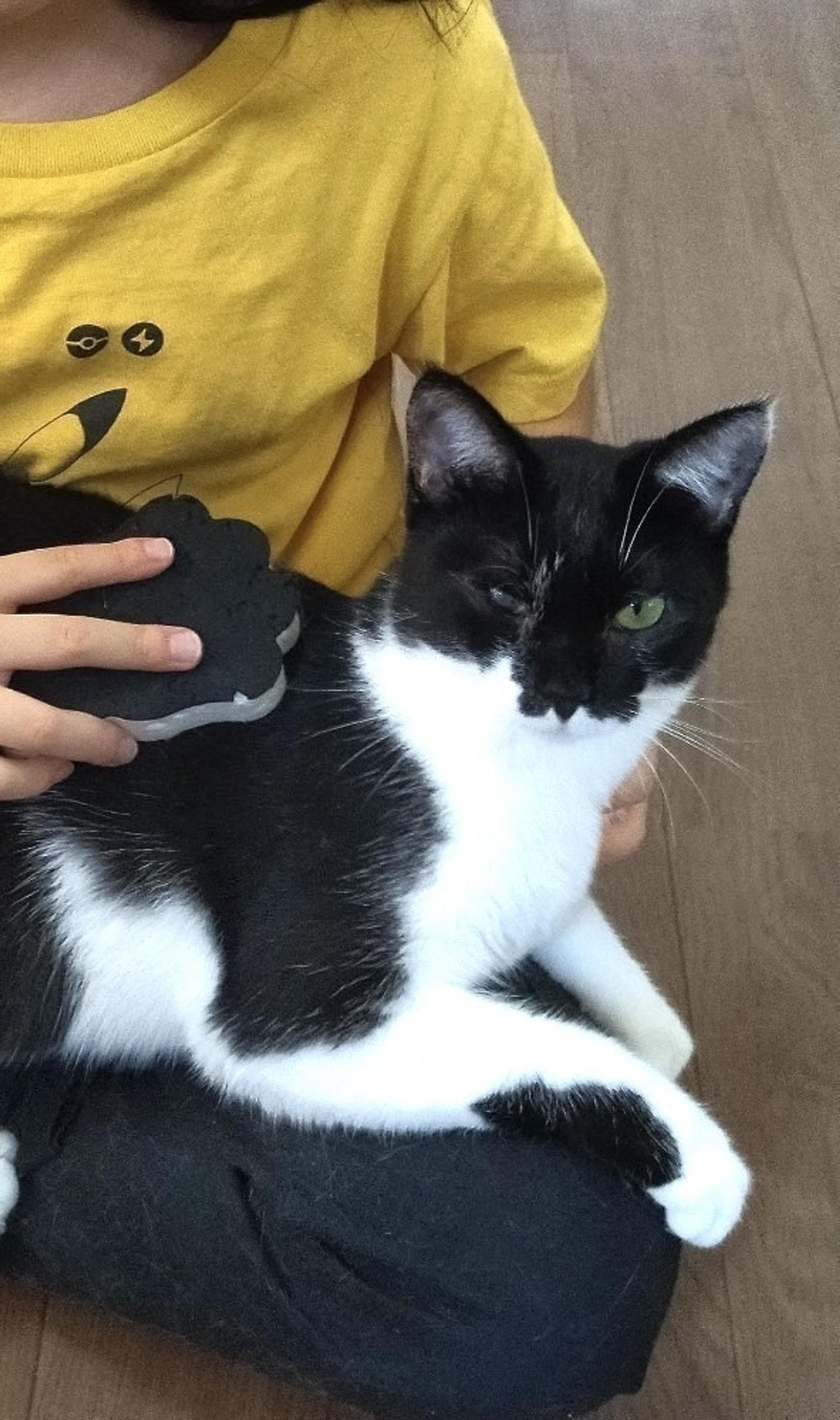 pet-image-5
