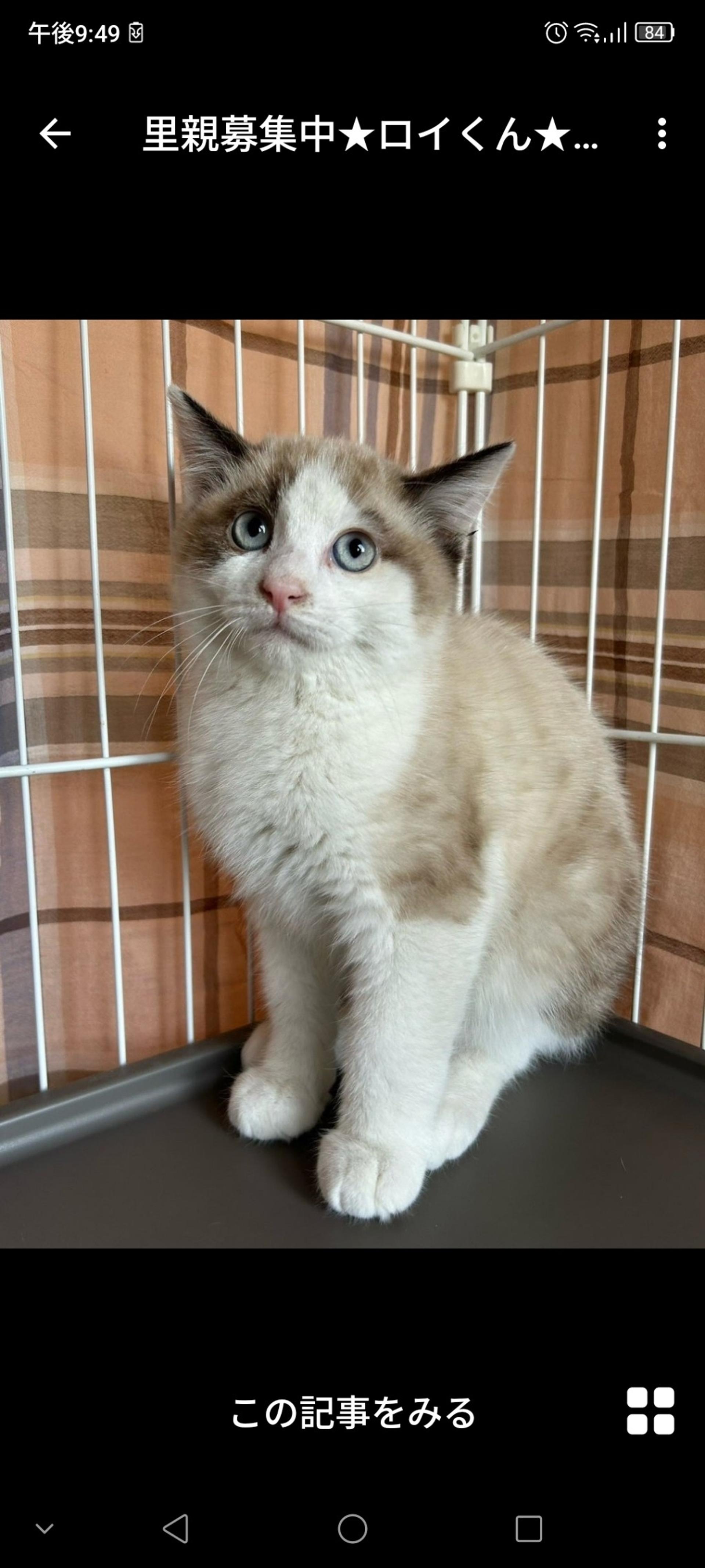 pet-image-2