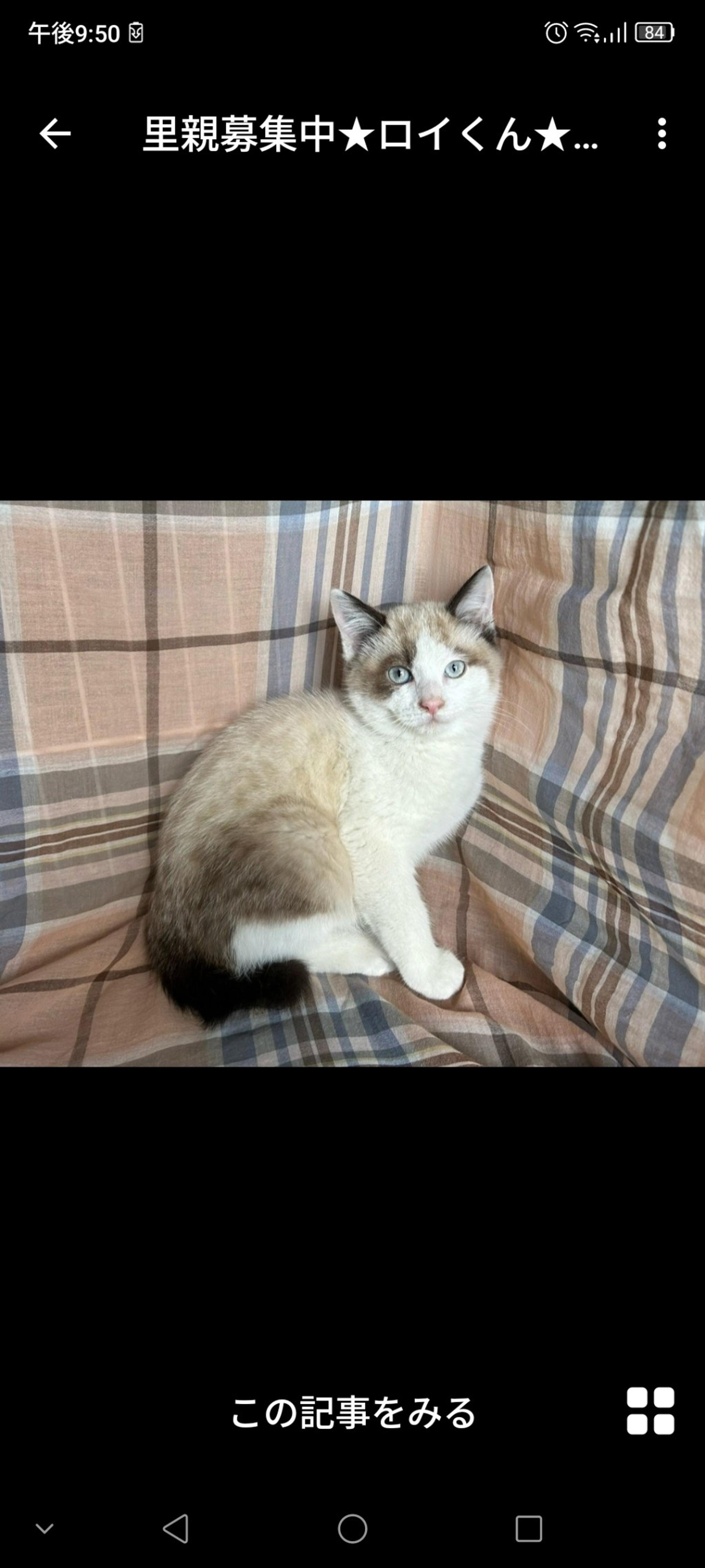 pet-image-3