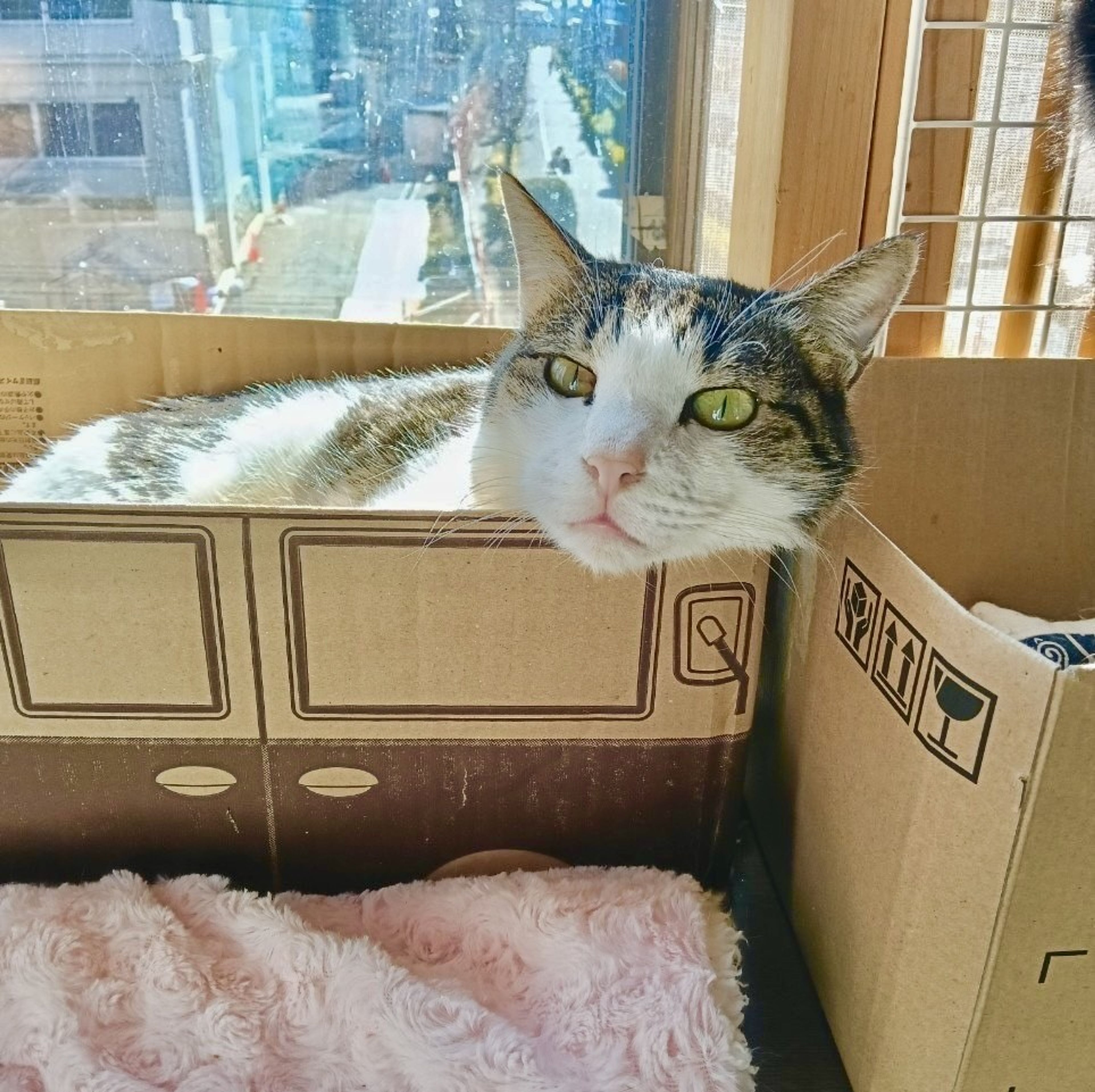 image-5