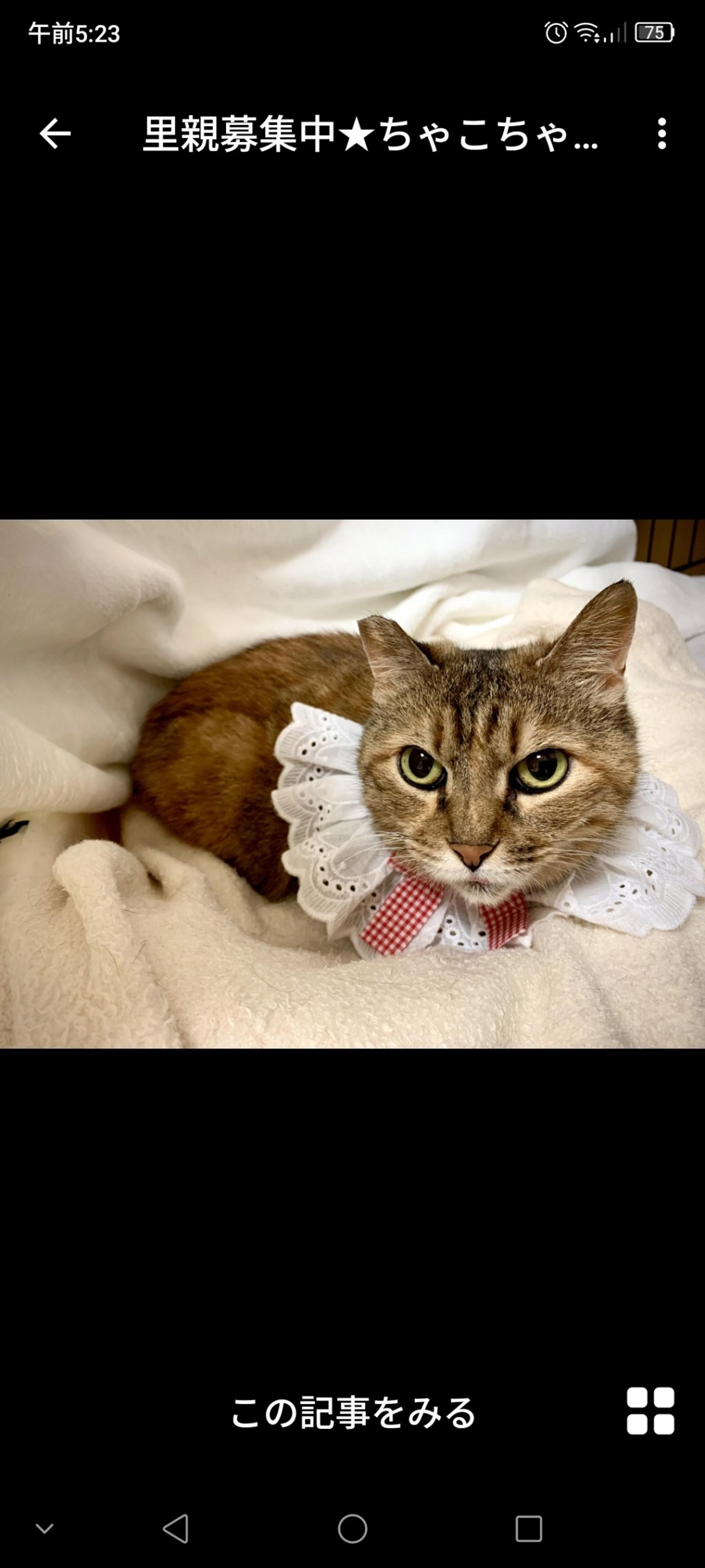 pet-image-2