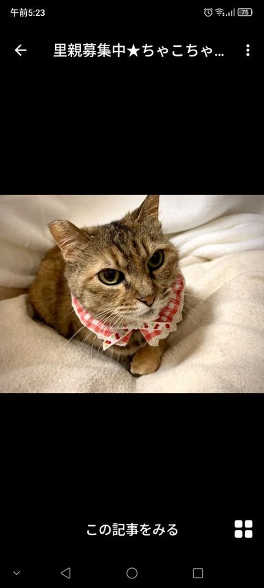 ちゃこちゃん