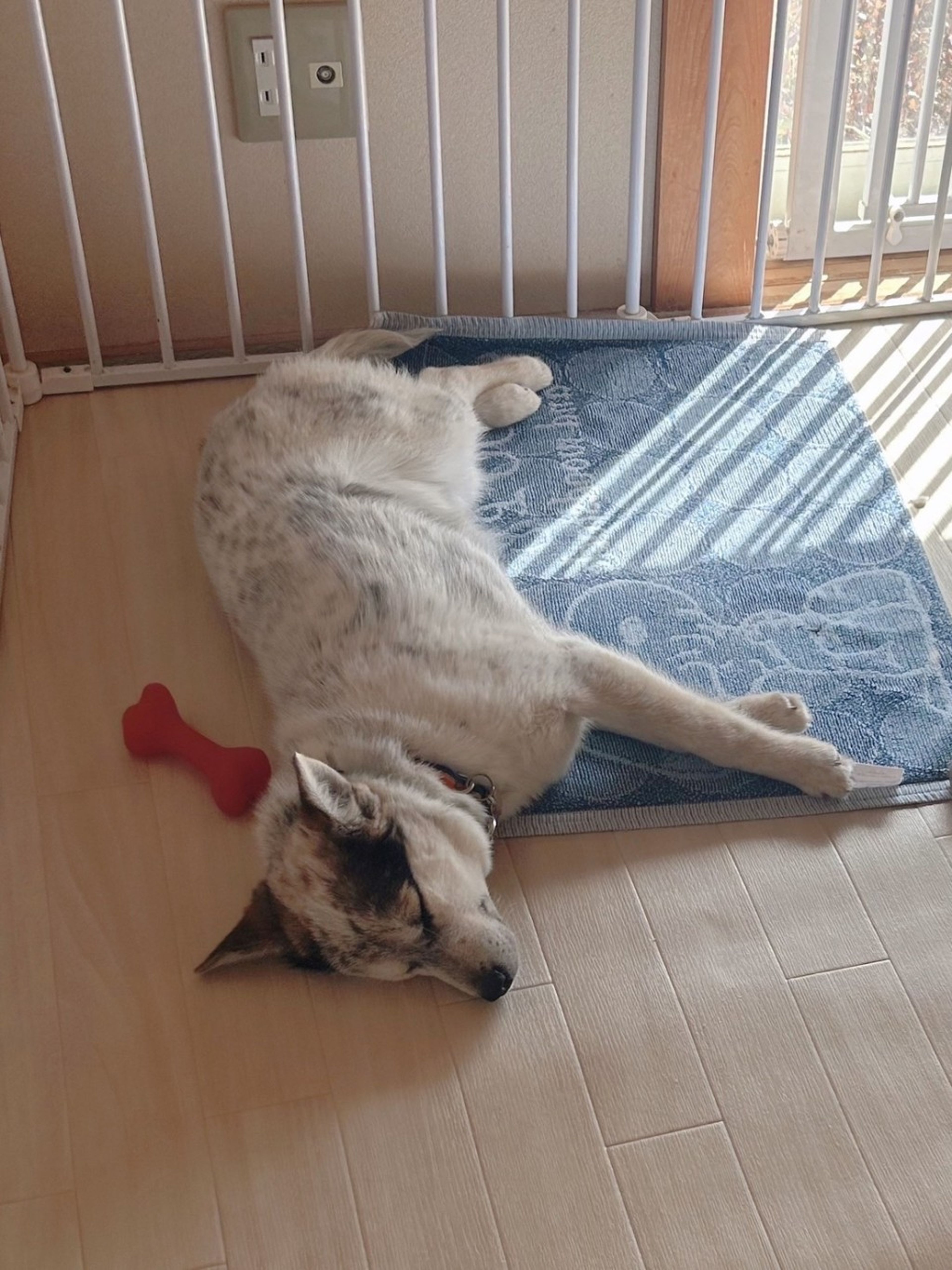 image-6