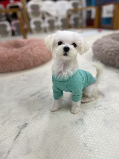 スーマントラン