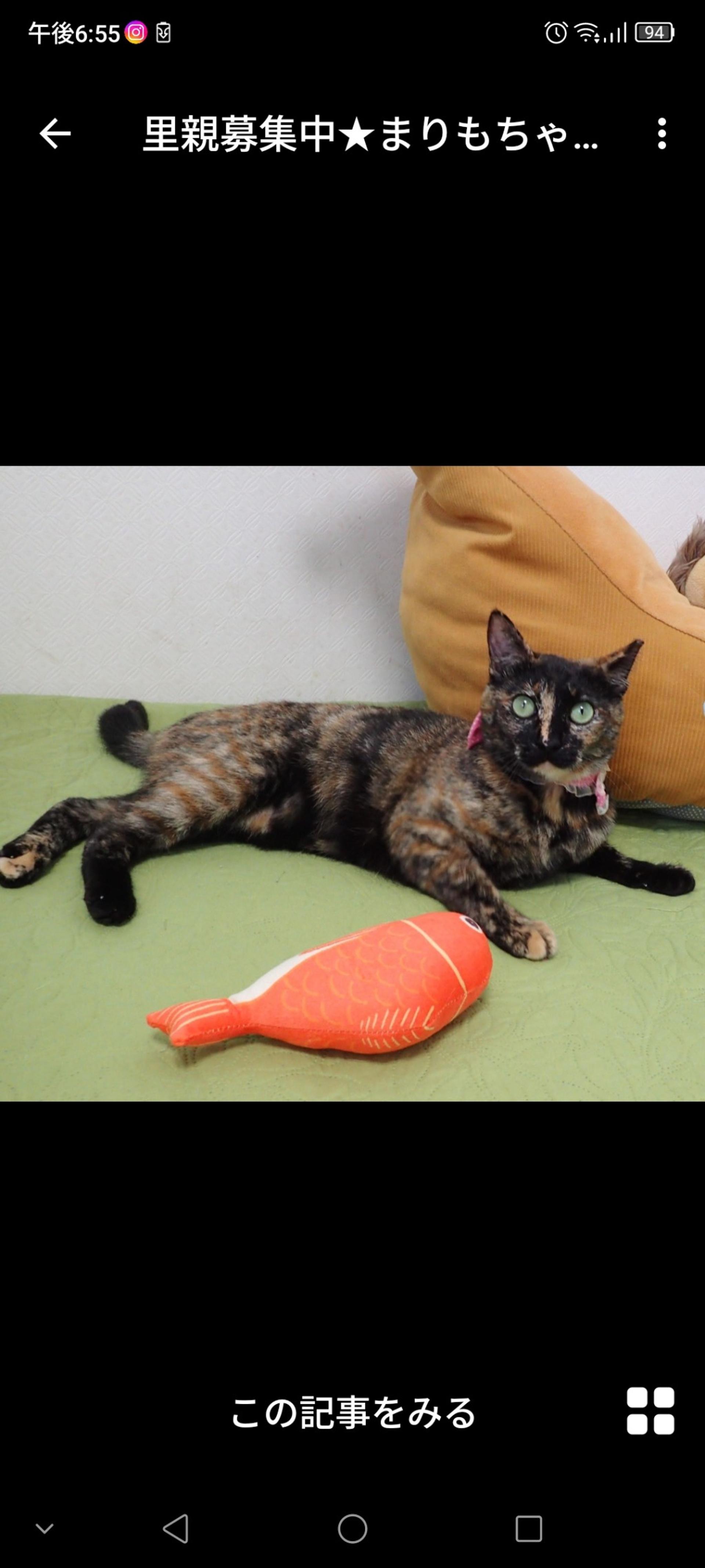pet-image-3