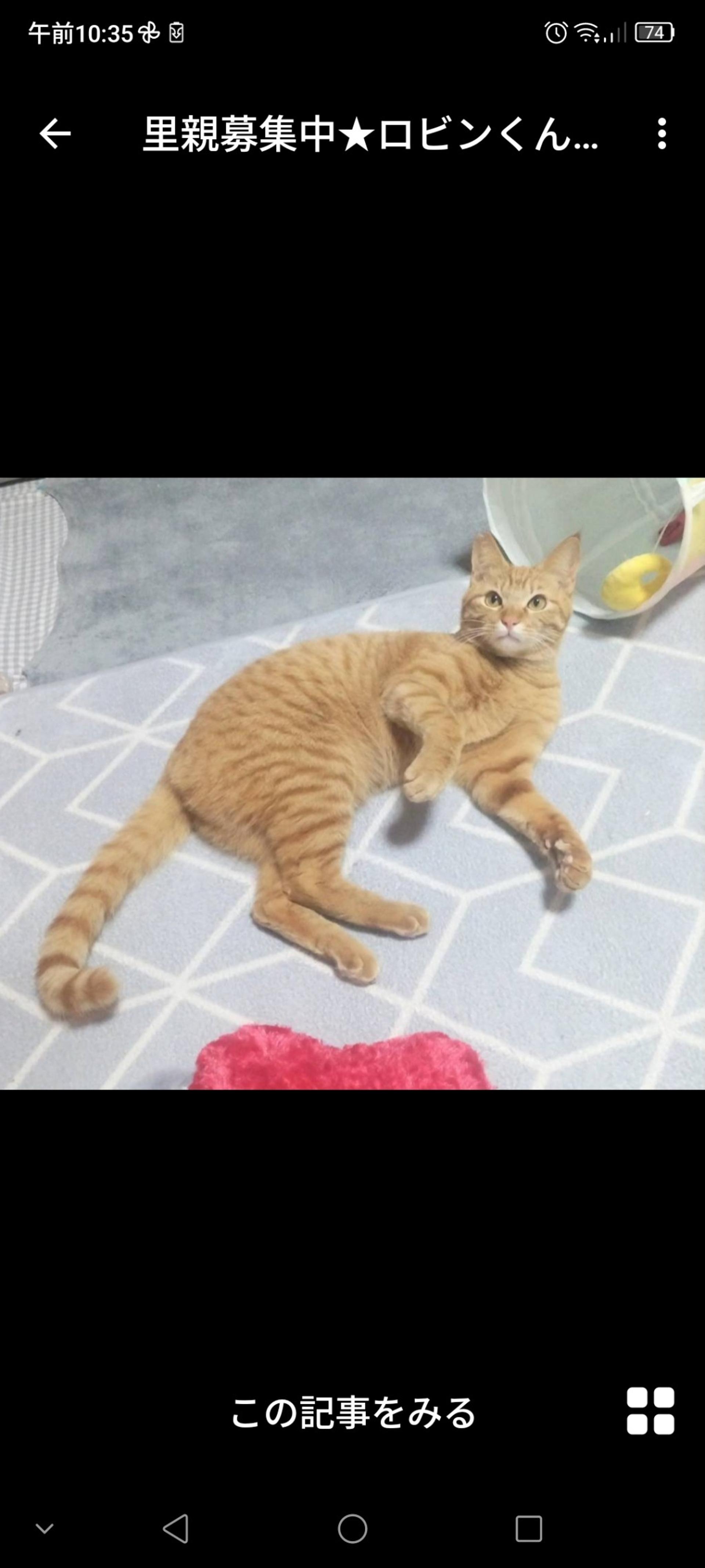 pet-image-3