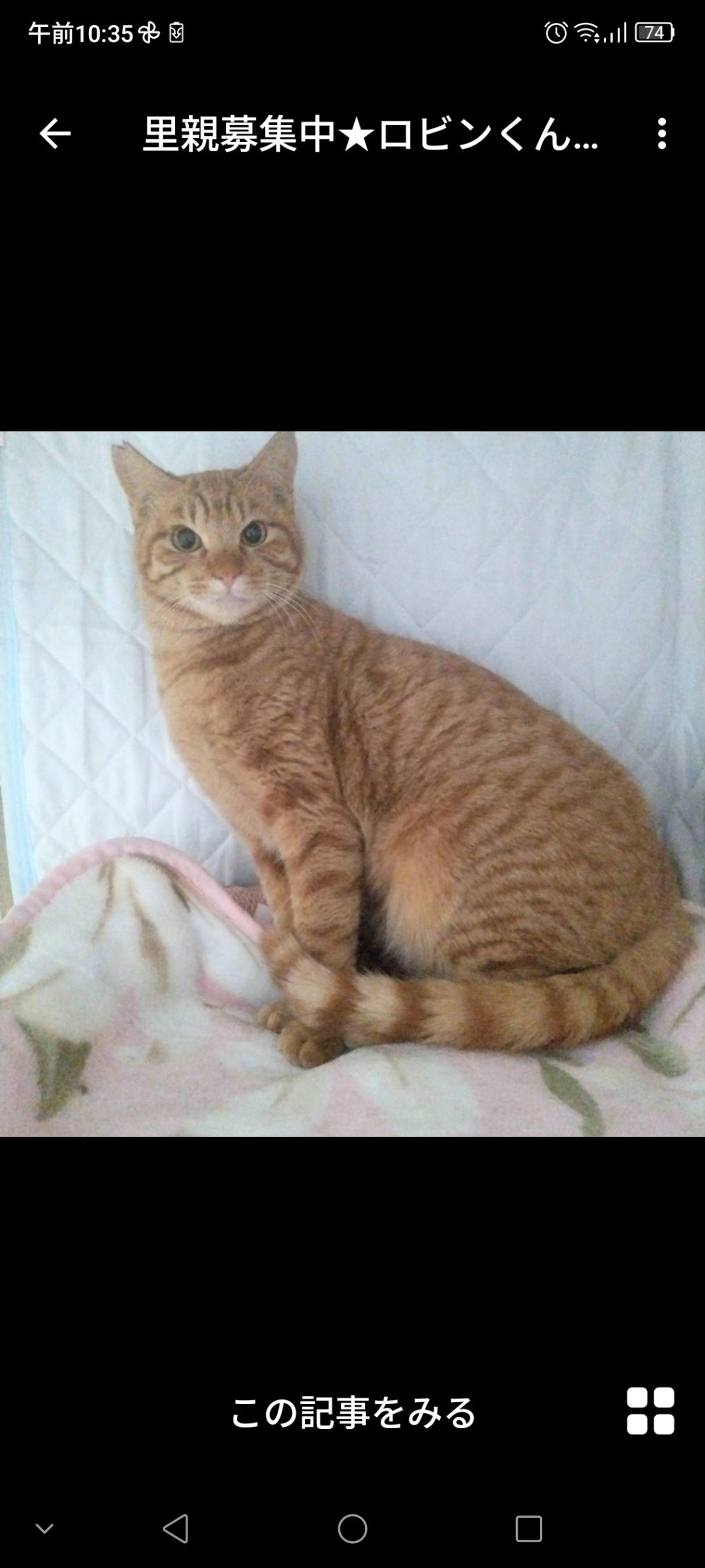 pet-image-2