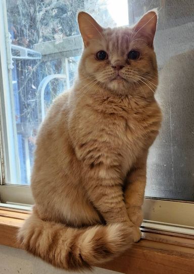 タオの写真