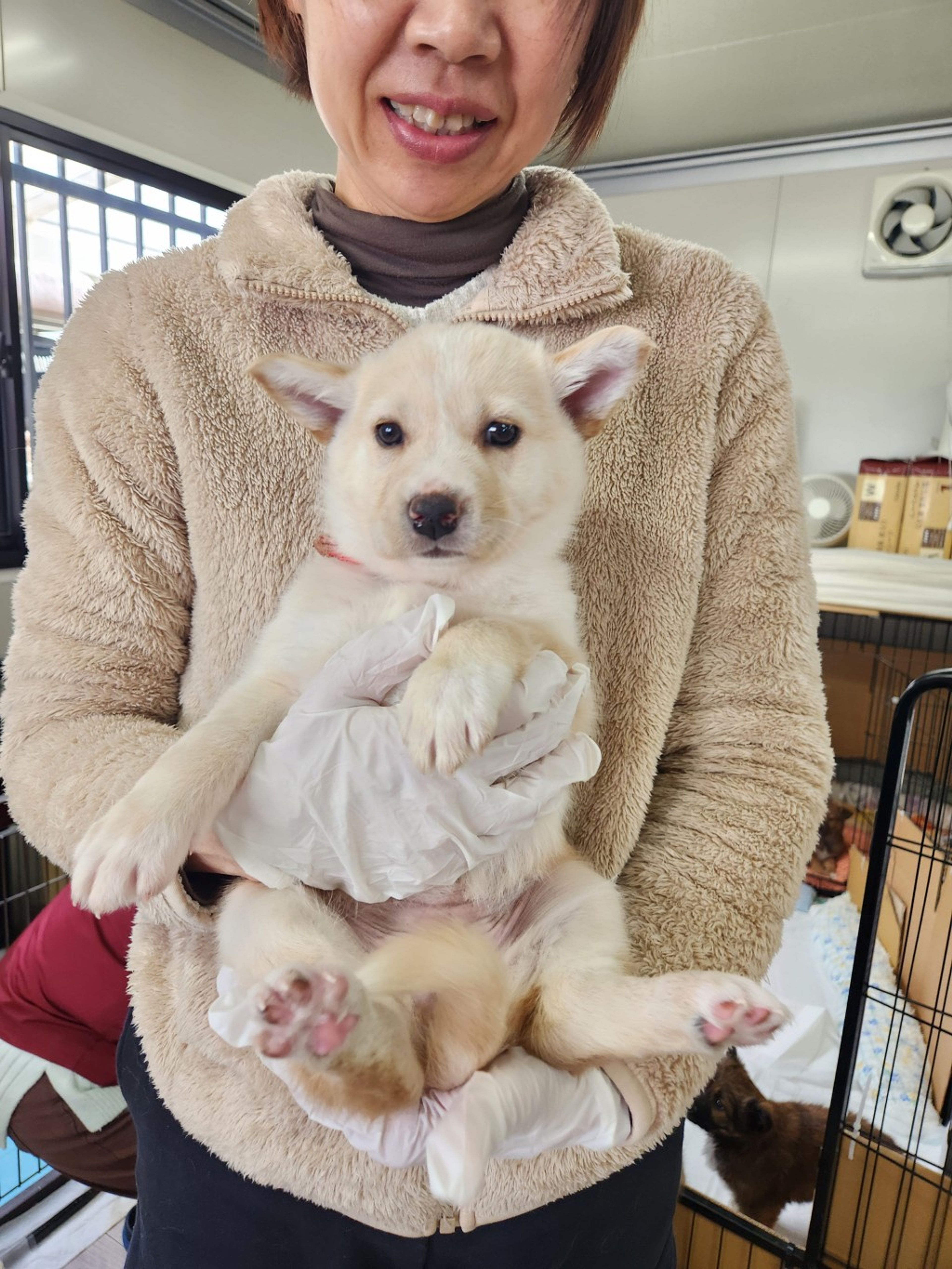 pet-image-4