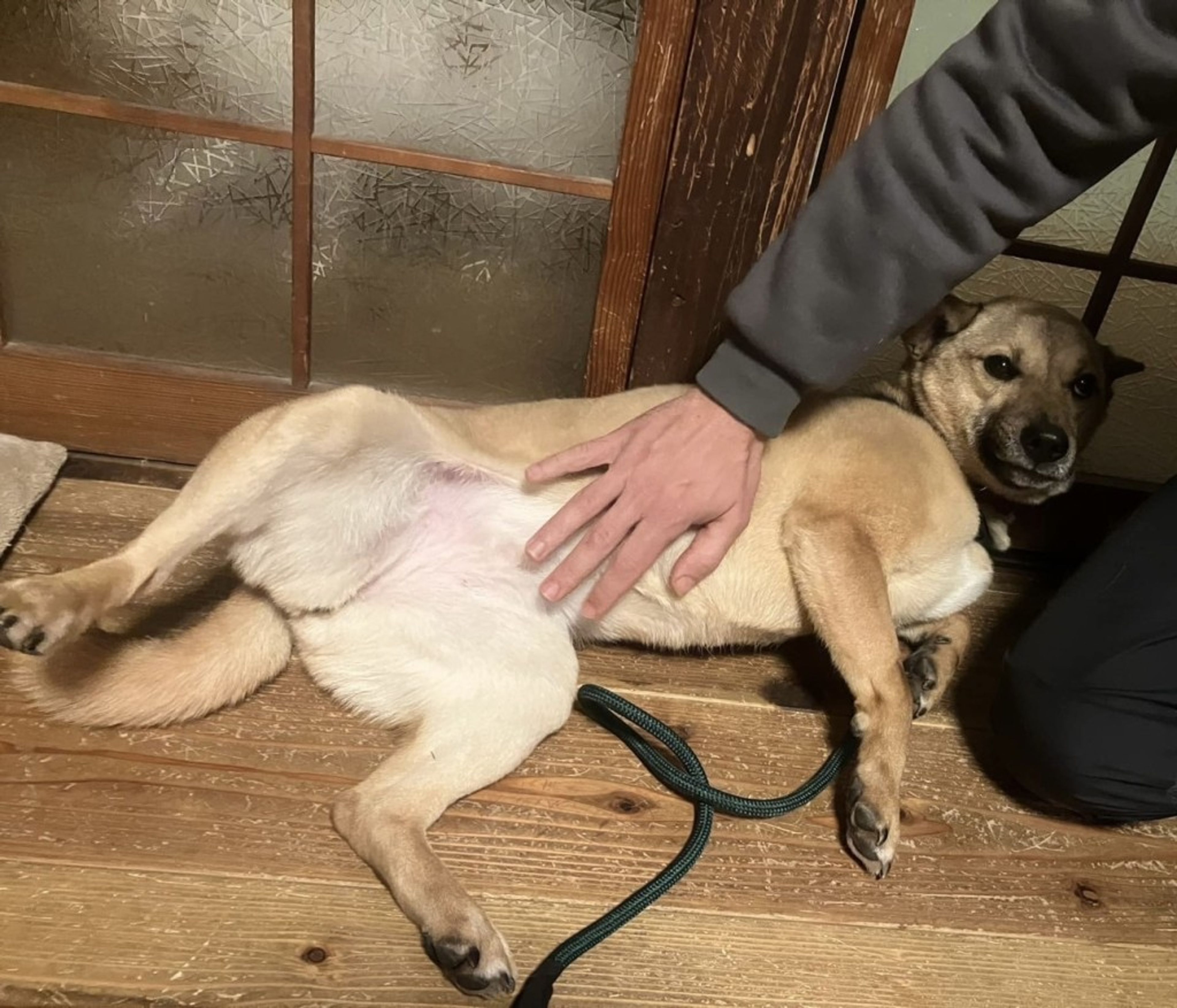 image-8