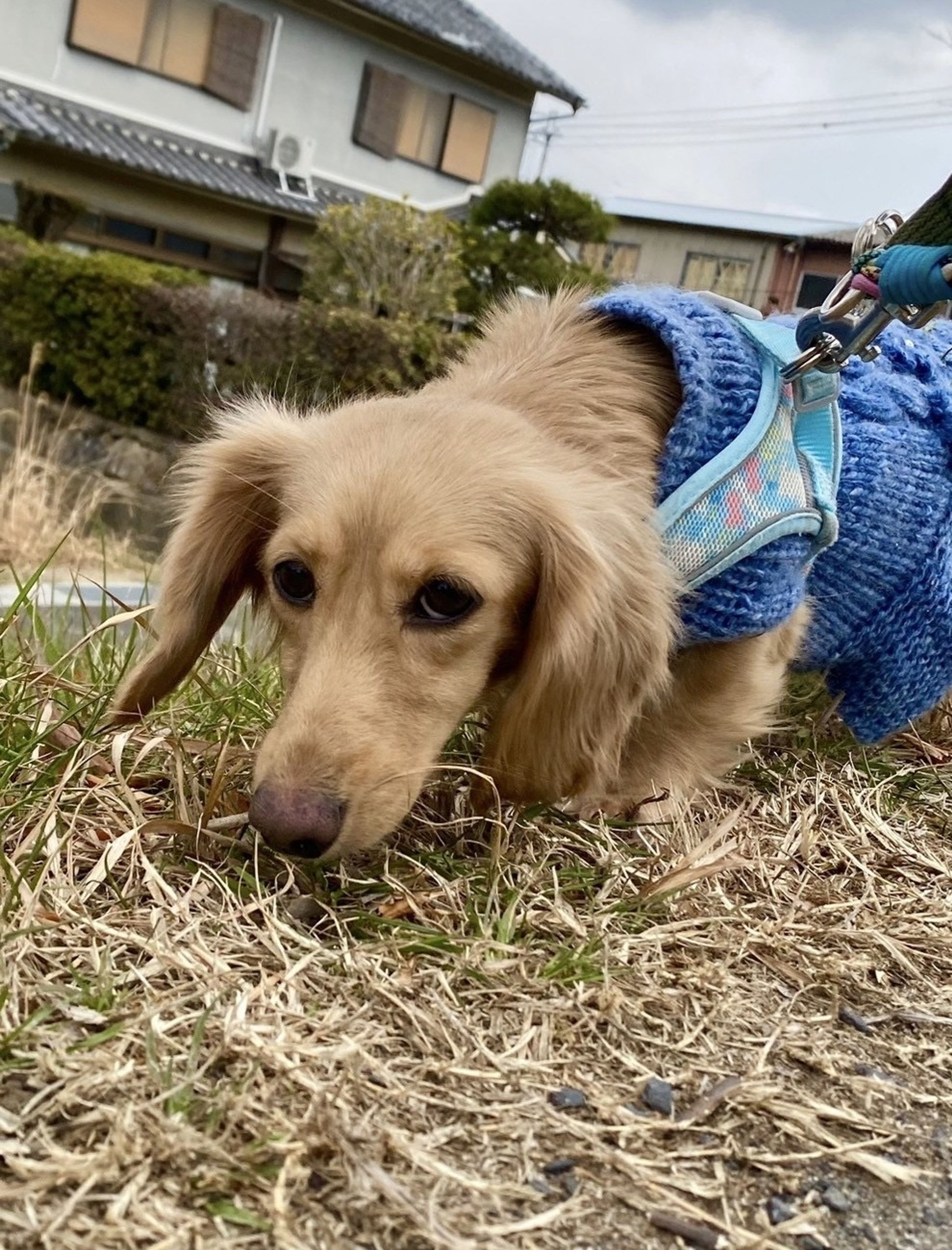 image-5