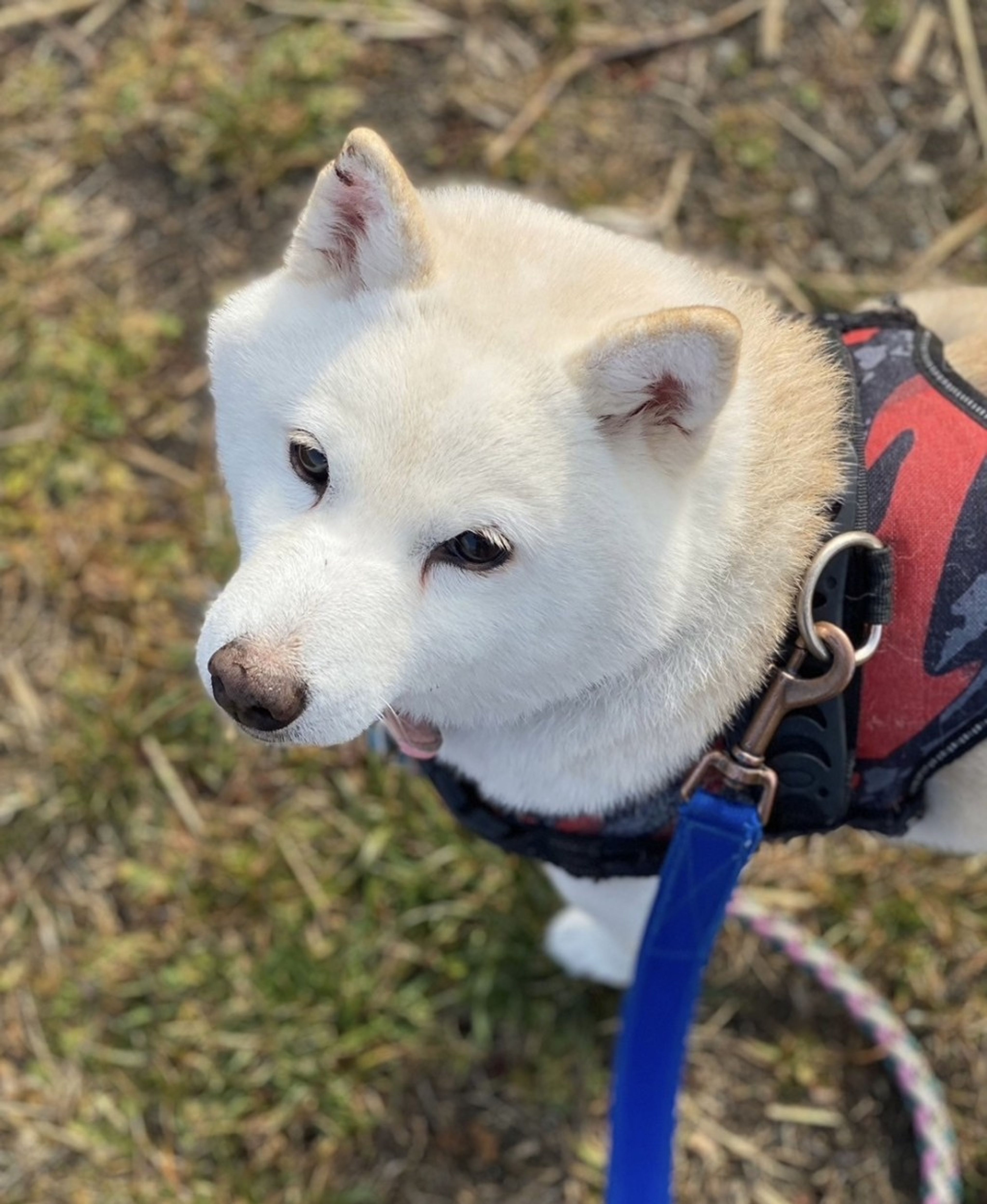 image-6
