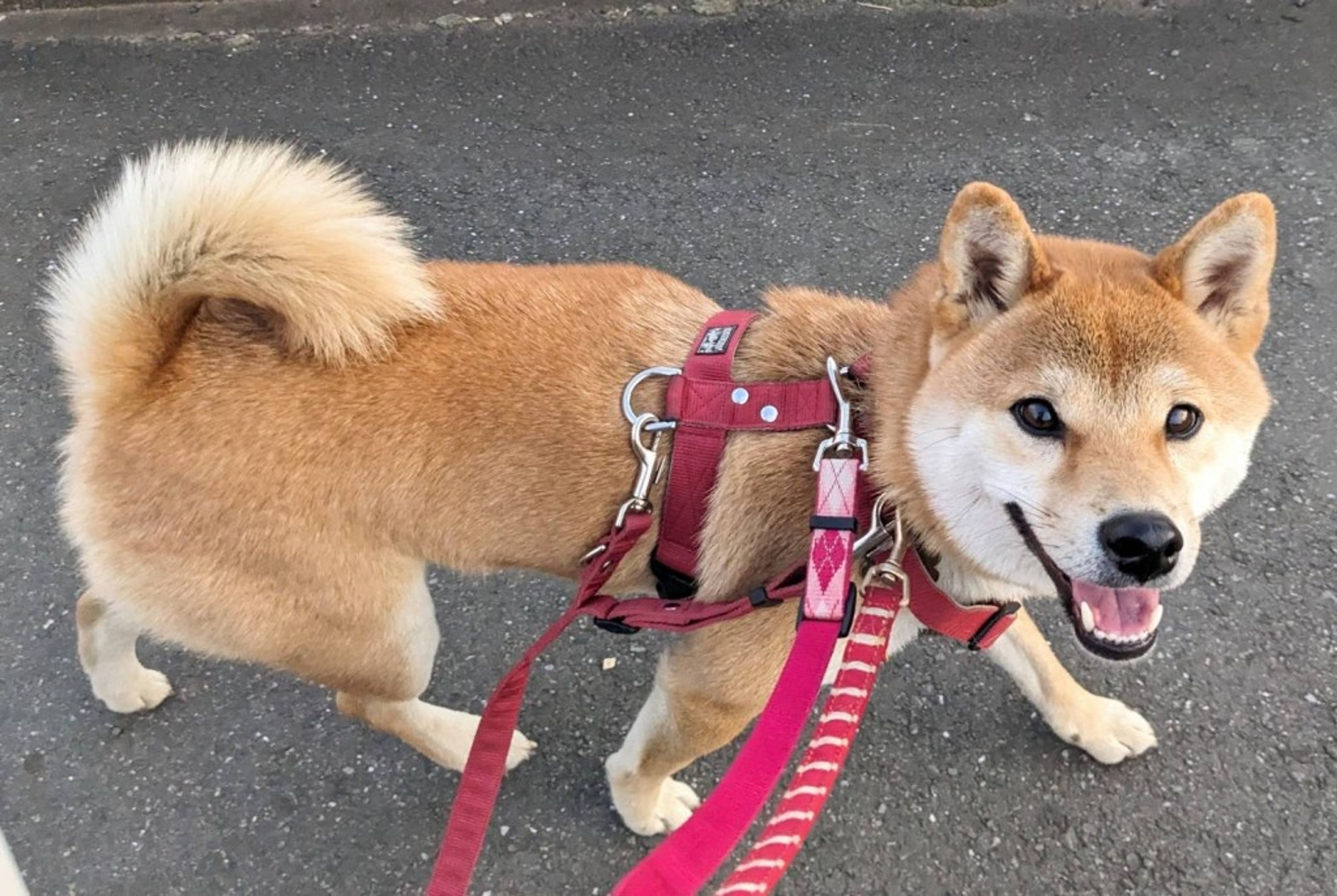 image-6