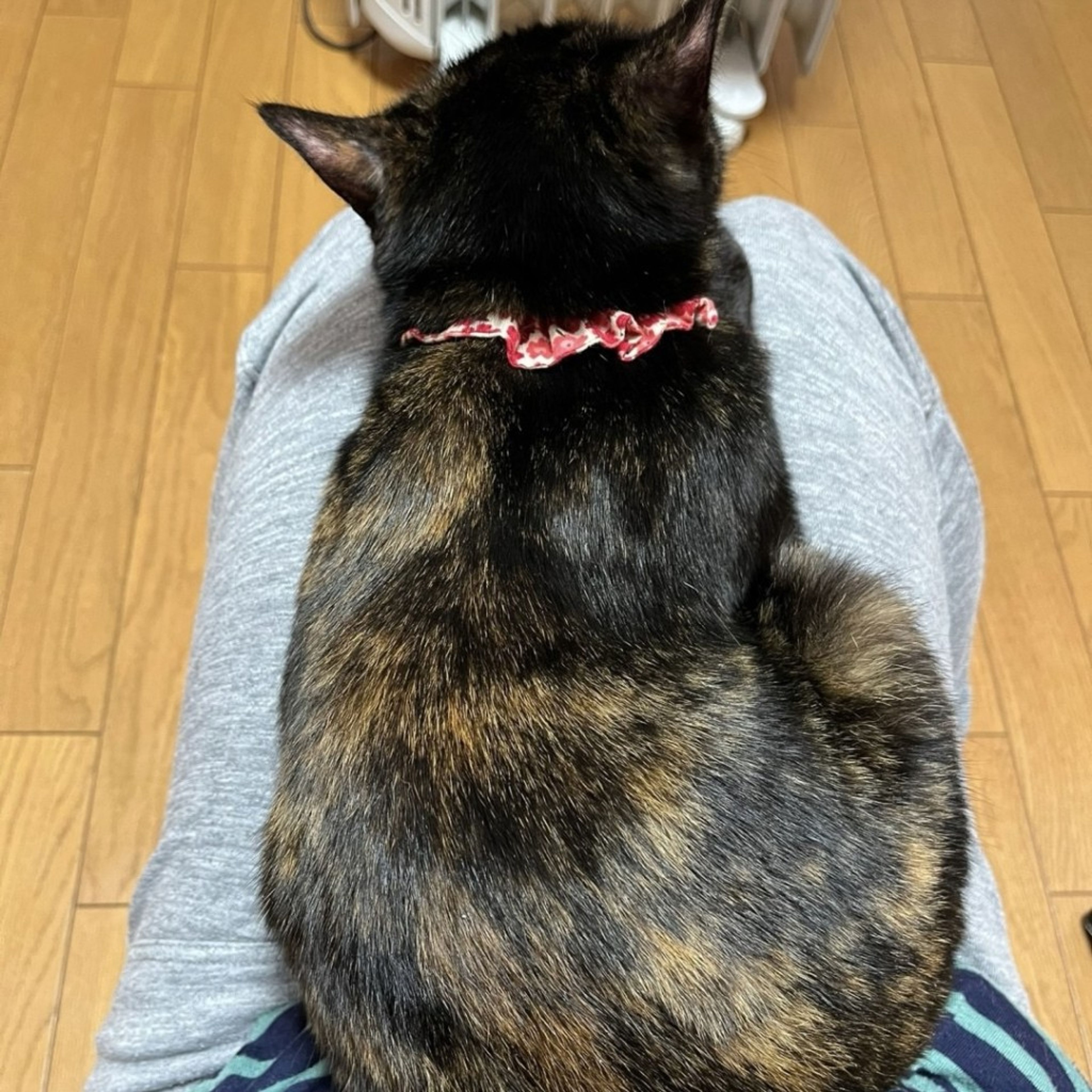 image-6