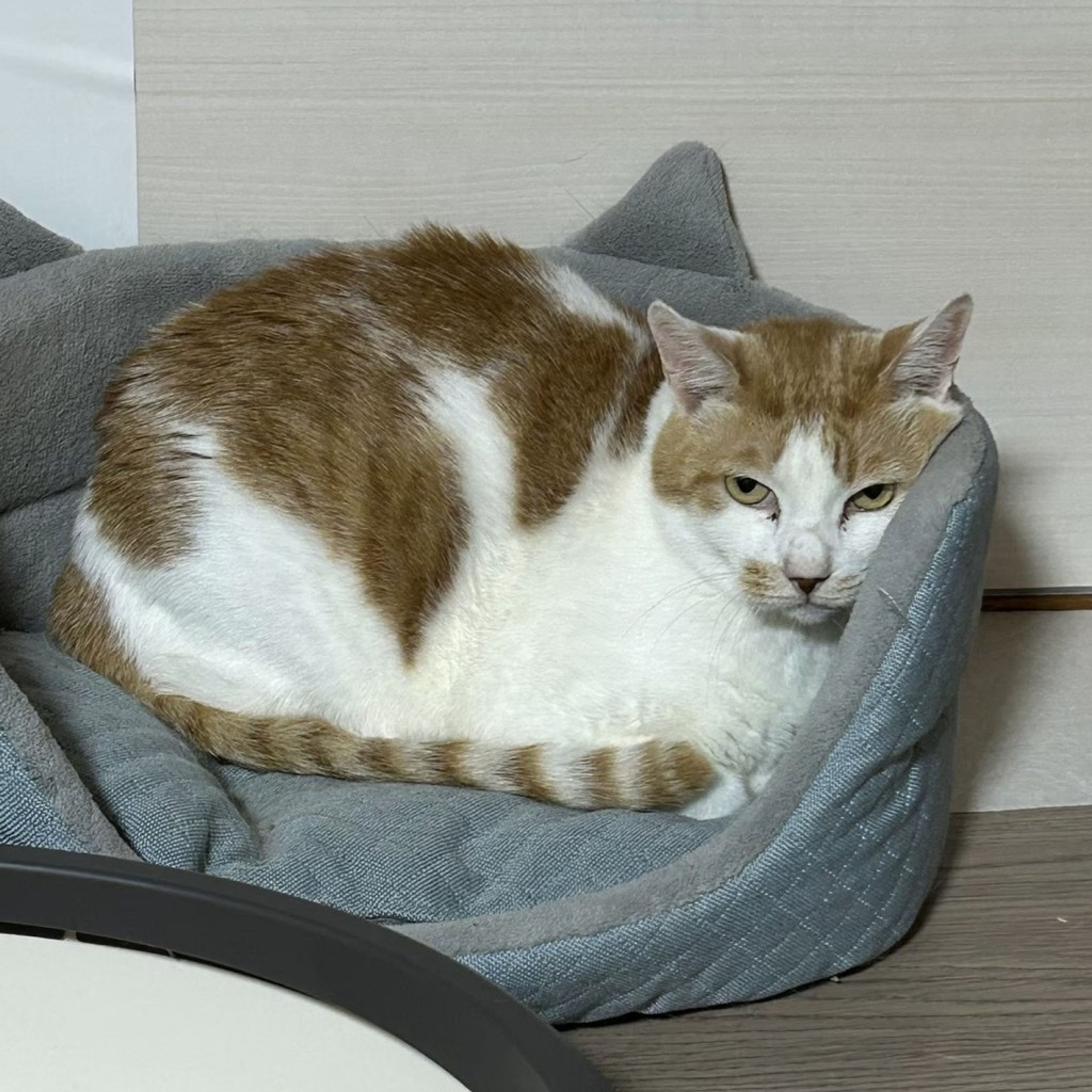 image-5