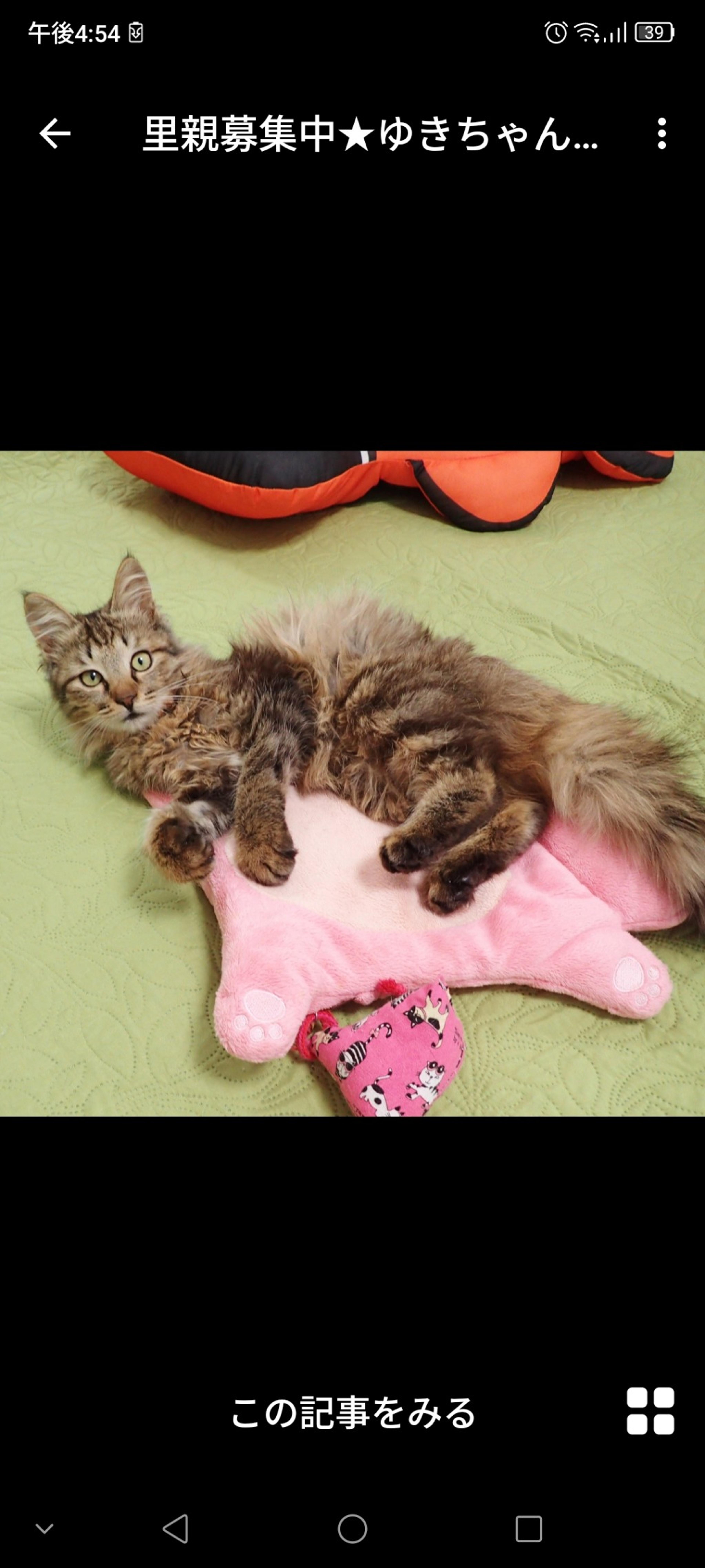 pet-image-2