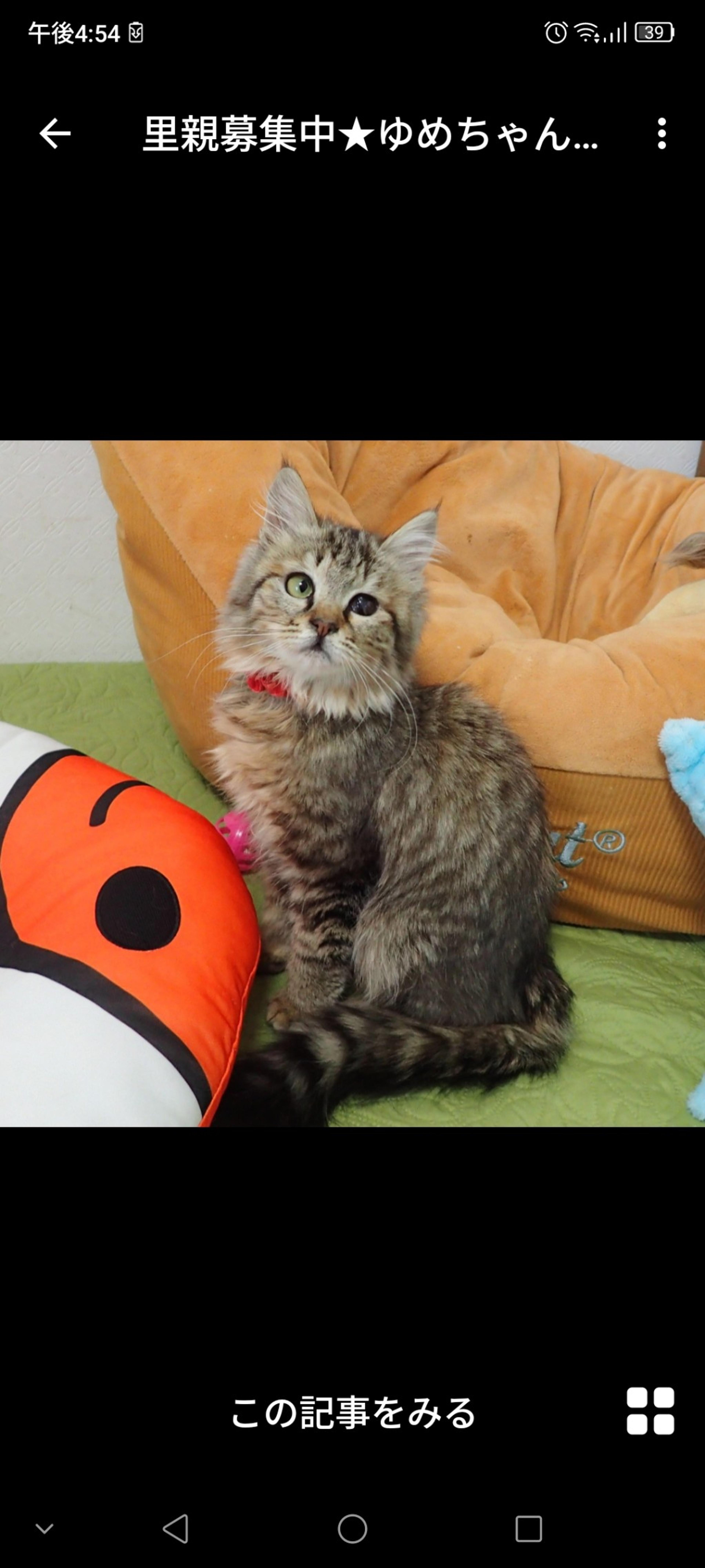 pet-image-2