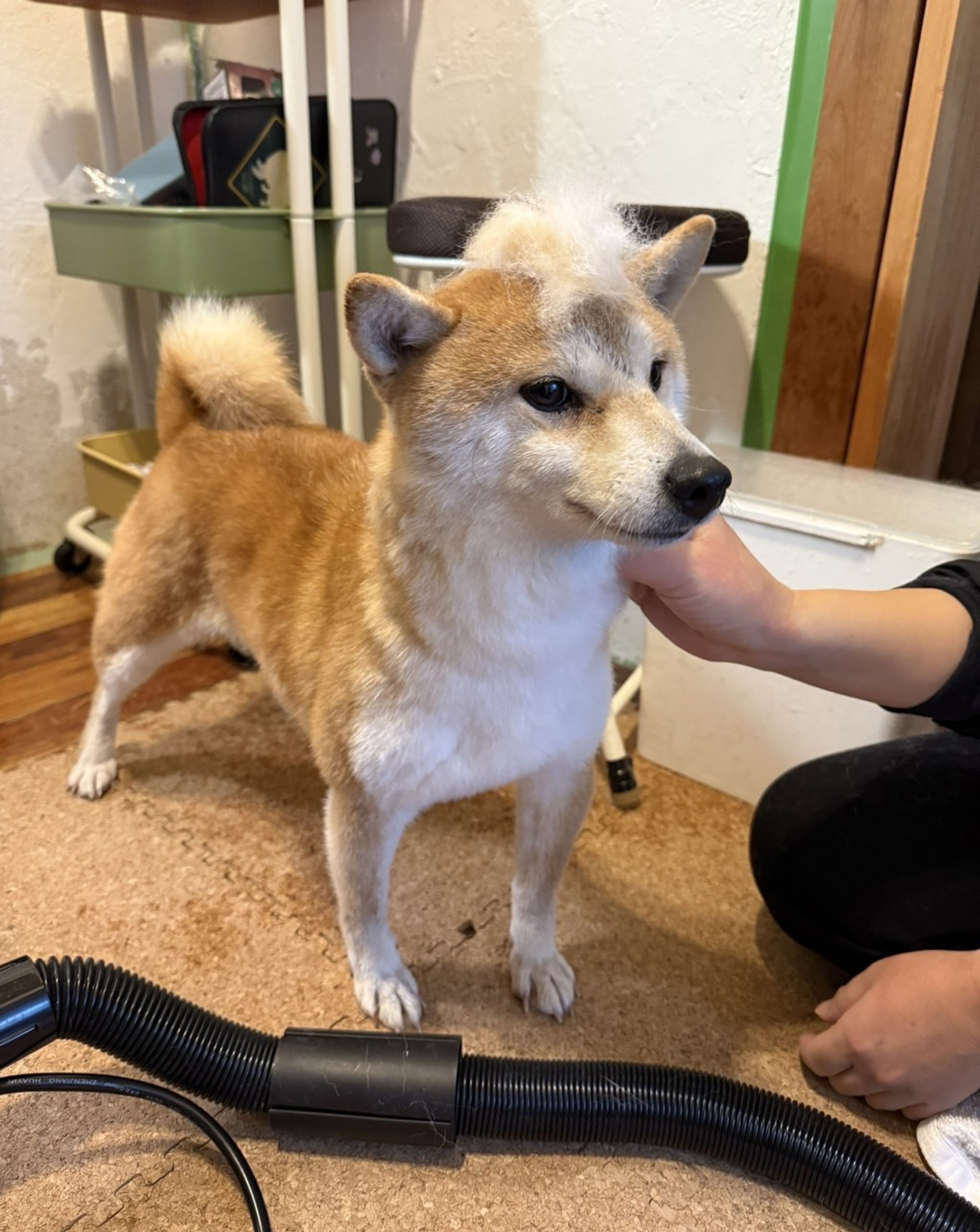 image-8