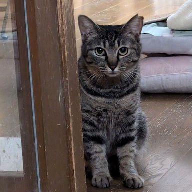 ちびの写真
