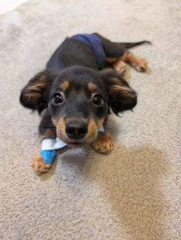 thumb-0